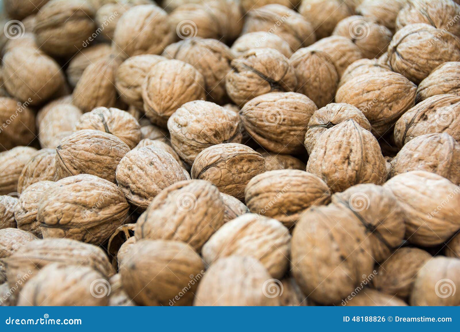 Fresh walnuts stock photo. Image of fresh, horizontal 48188826