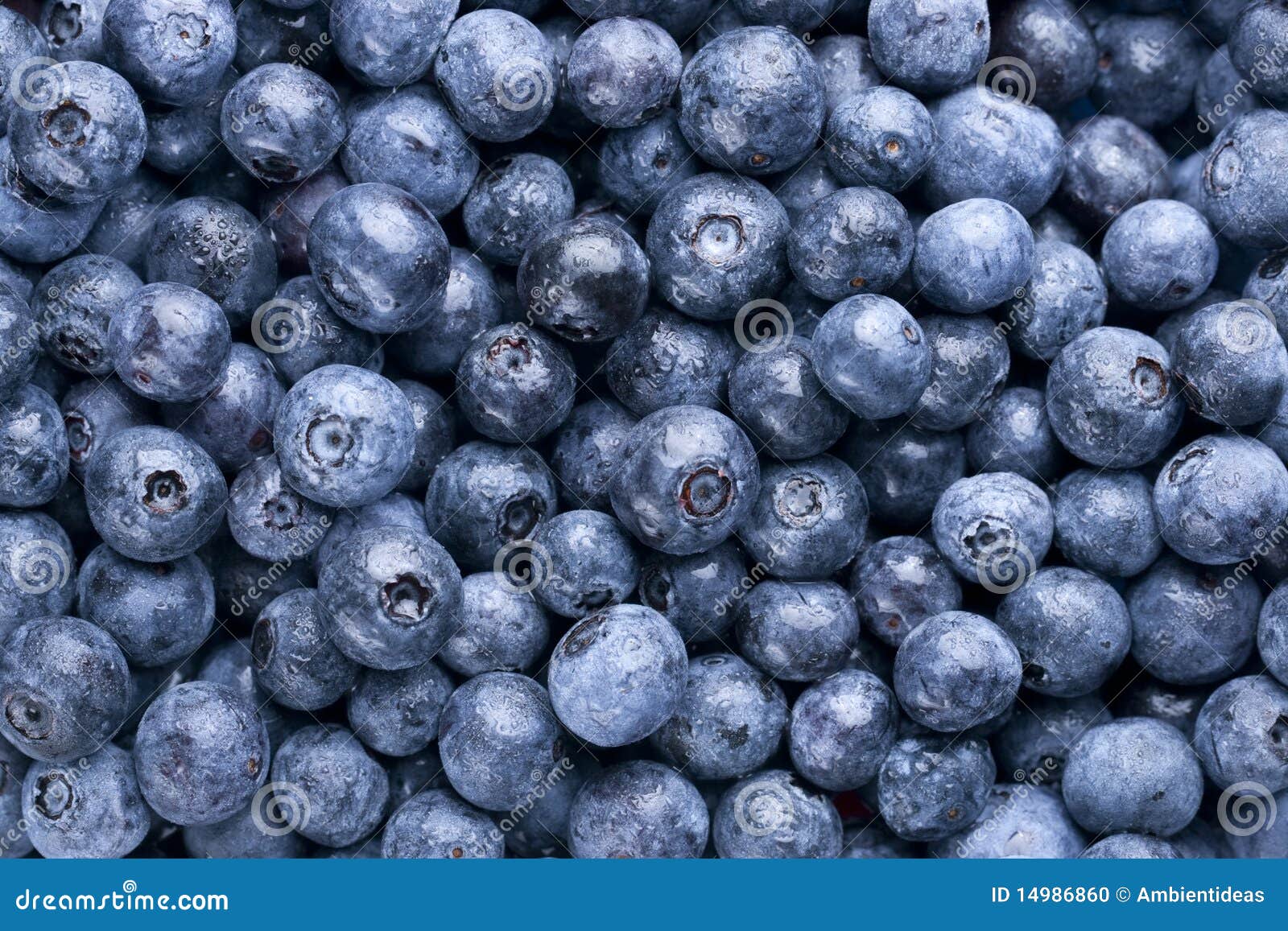 Fresh Washed Blueberry Background Stock Photo Image of food, focus