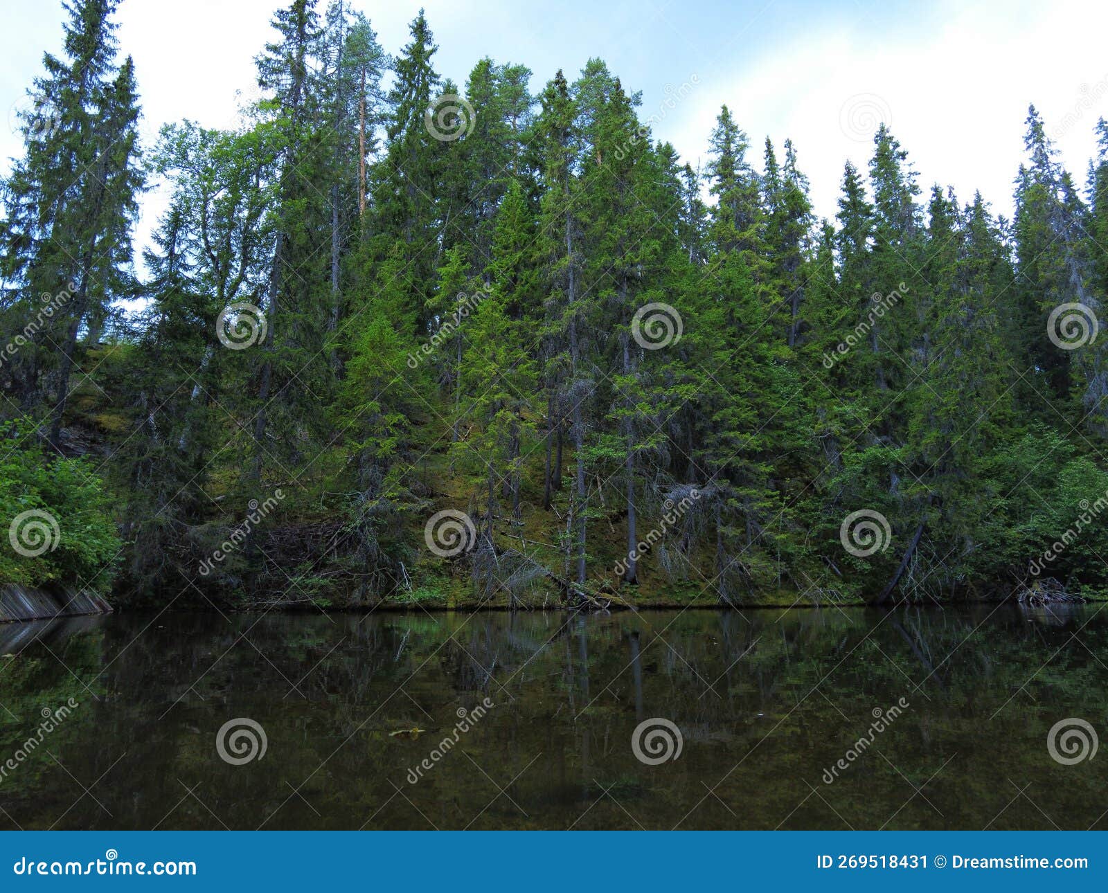 forest pond on the edge of a impact crater in the woods of styggforsen