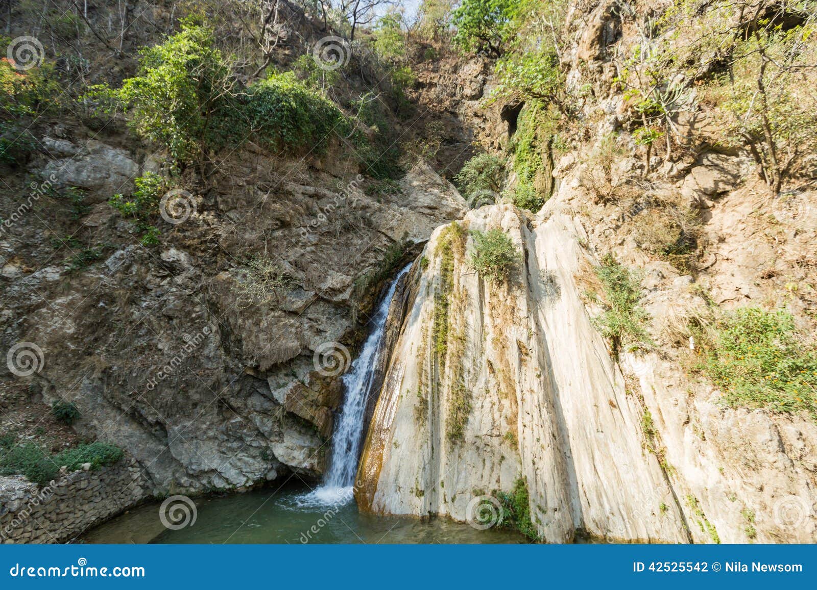 Fresh water spring stock photo. Image of forest, environment 42525542