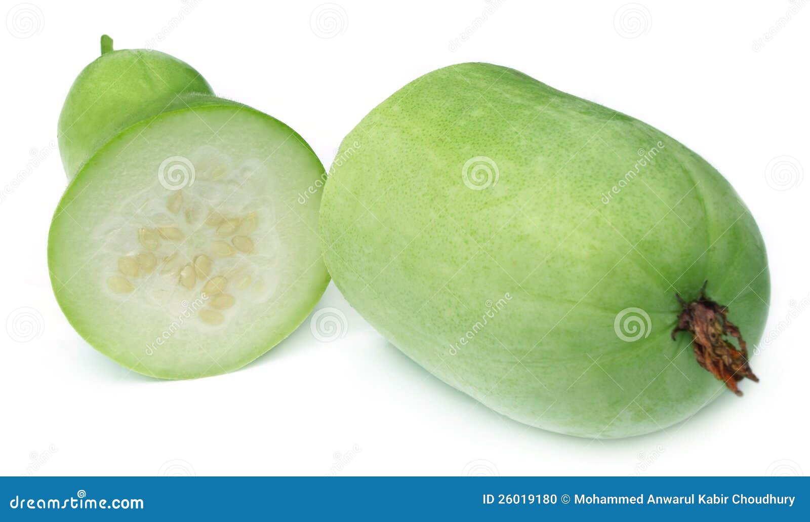 Fresh wax gourd stock photo. Image of farm, harvest, food 26019180