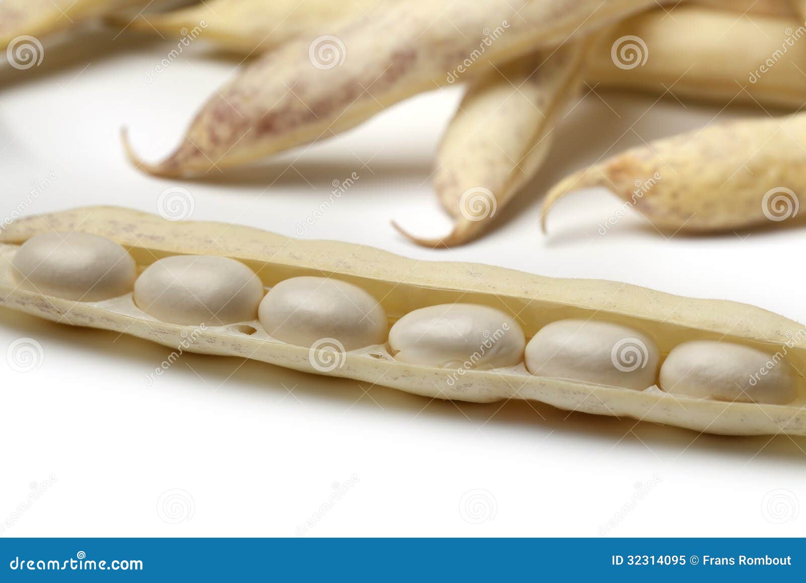 Fresh white coco beans stock image. Image of cocos, beans - 32314095