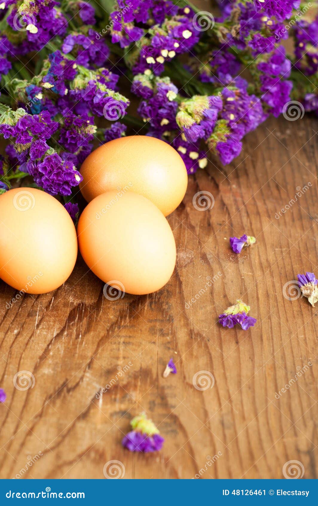 Fresh White Eggs with Flowers Stock Image Image of natural, cooking