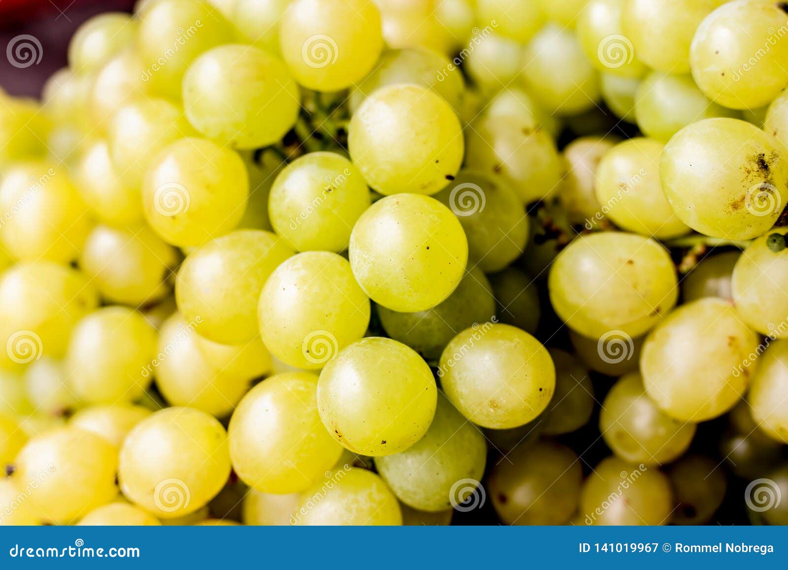 Fresh white grapes stock image. Image of grapes, wine 141019967