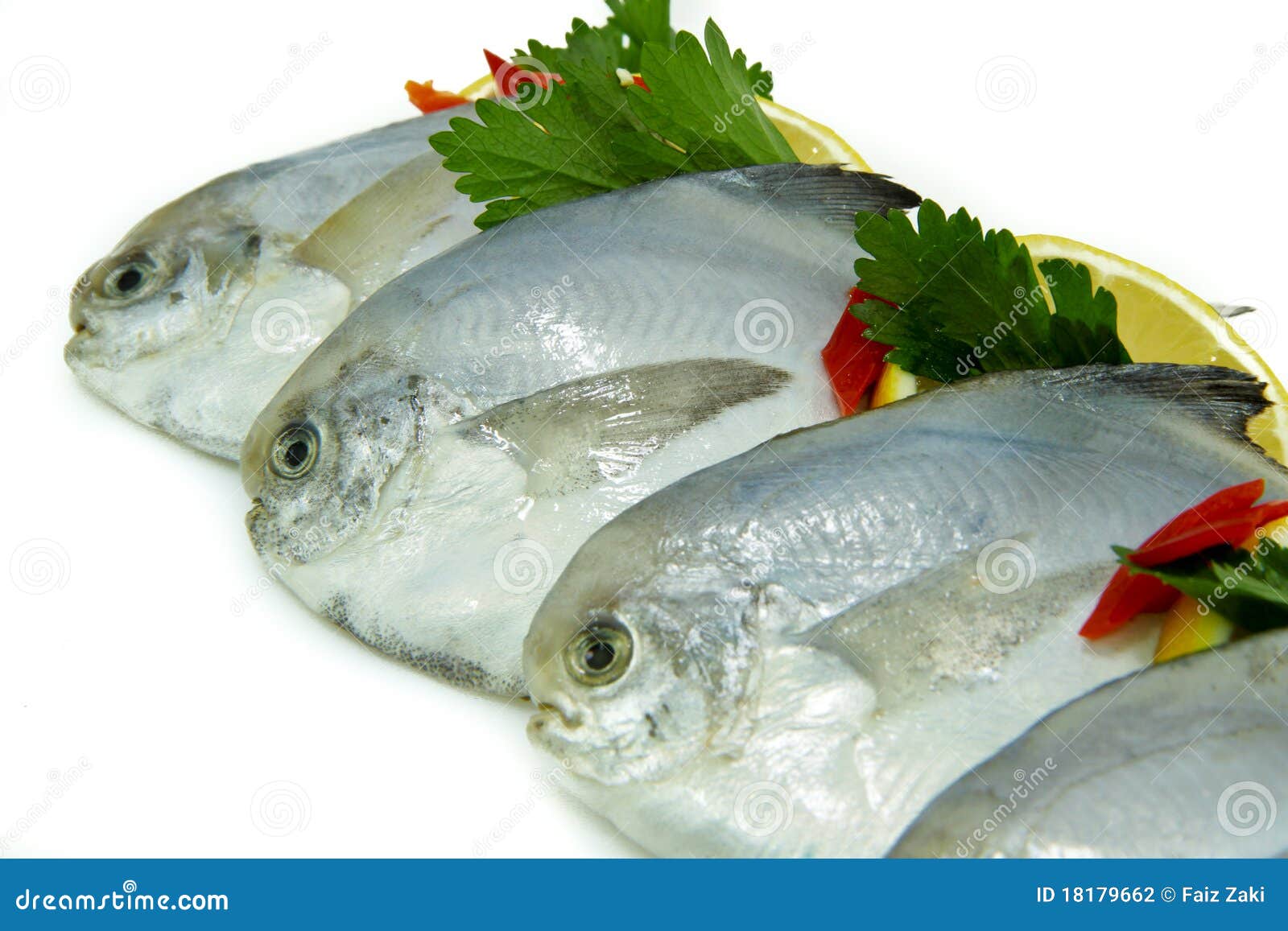 Fresh White Pomfret stock photo. Image of chillies, alive 18179662