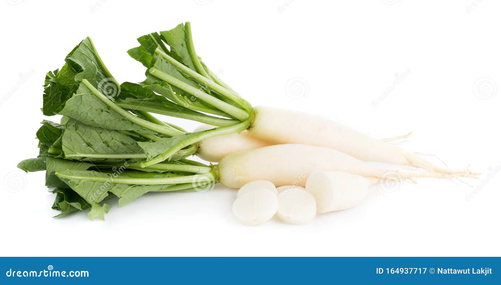 Fresh White Radish Isolated on White Background Stock Image Image of