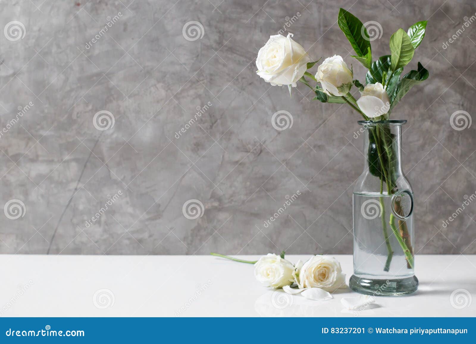 Fresh White Rose Flower in Bottle Stock Image Image of valentine