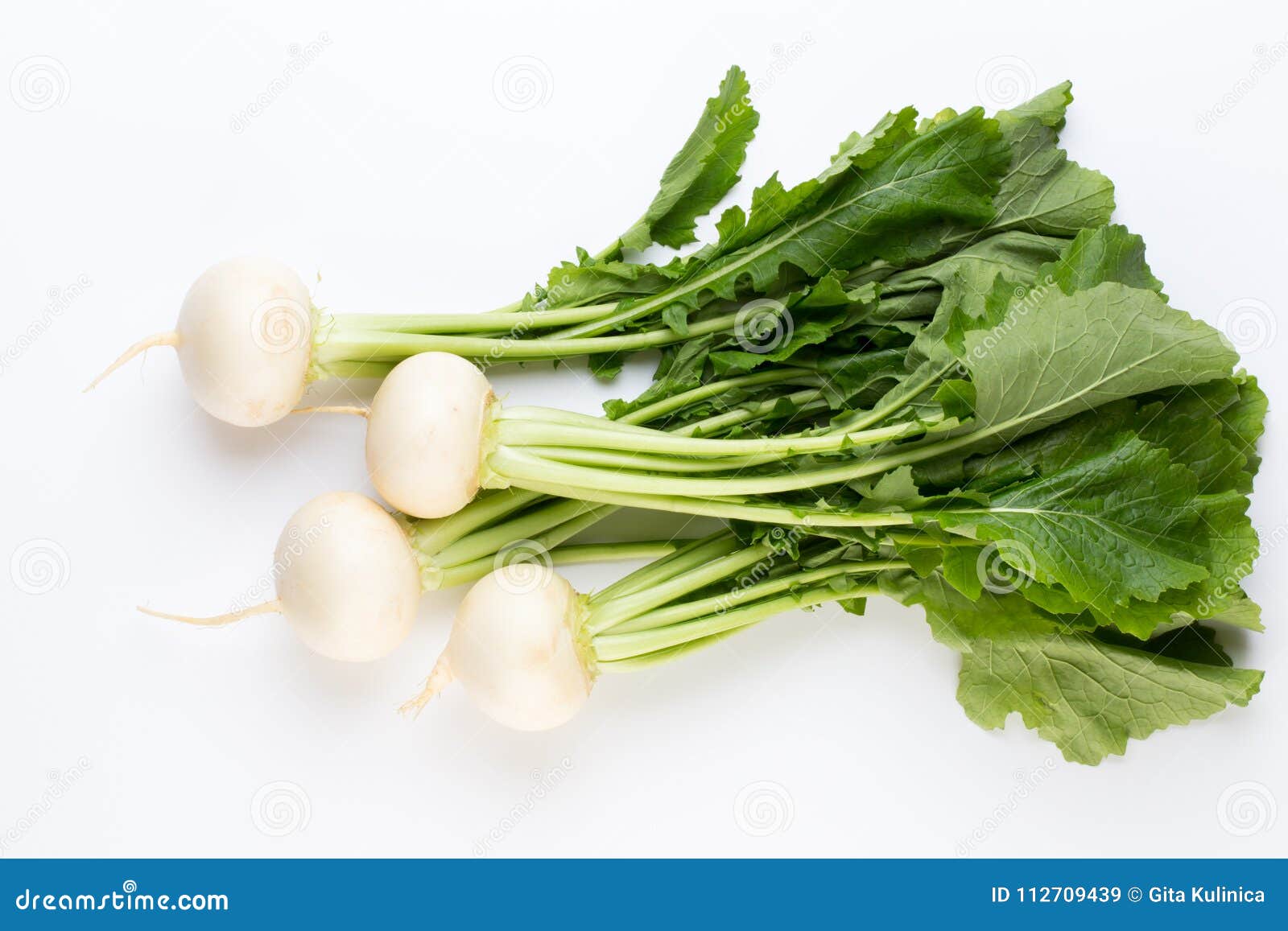 Fresh White Round Turnip Radish on White Background. Stock Image Image of vegetable, studio