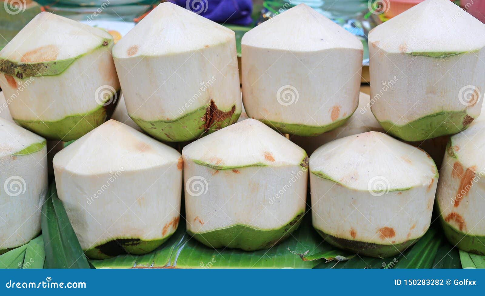 Fresh White Topical Coconuts Stock Photo Image of dark, background