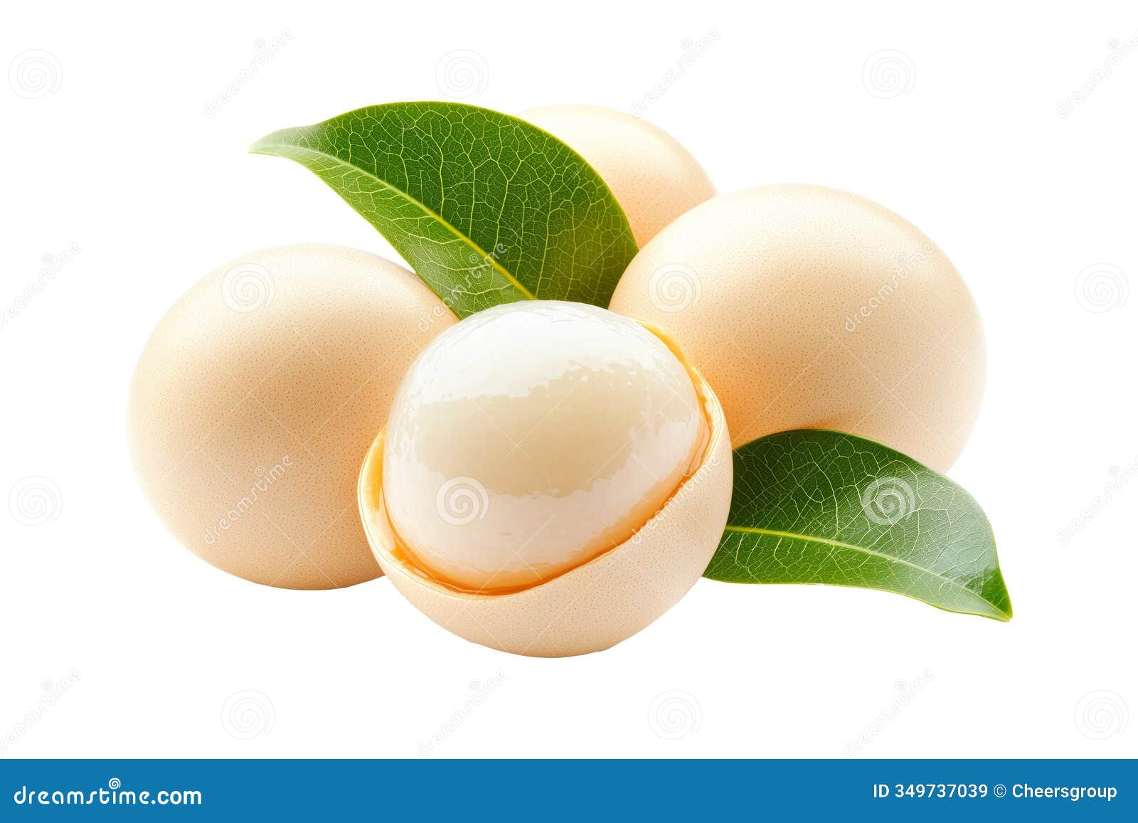 fresh whole and halved longan fruits with green leaves  on white transparent background, concept of fresh fruit