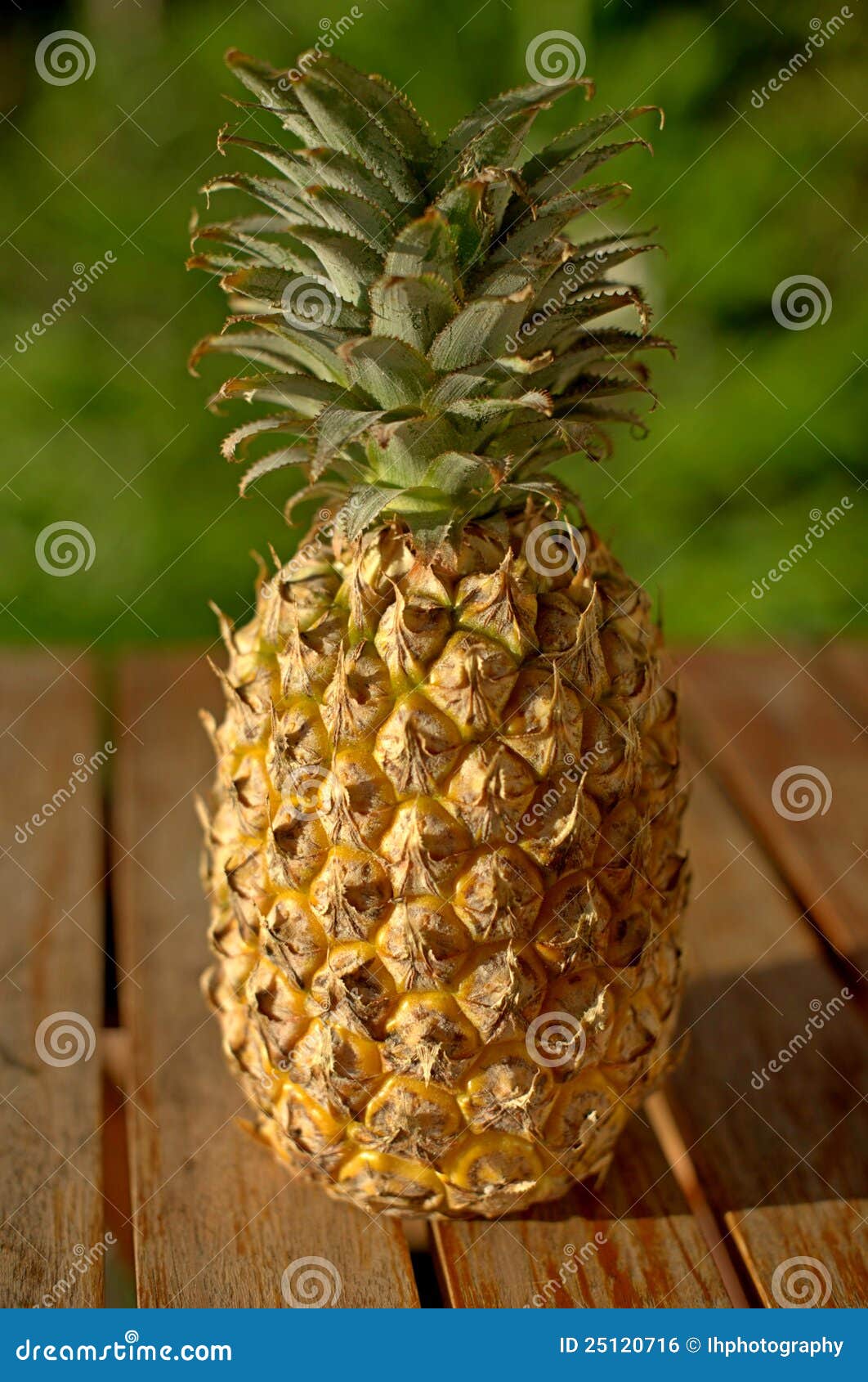 Fresh whole pineapple stock photo. Image of tropical 25120716