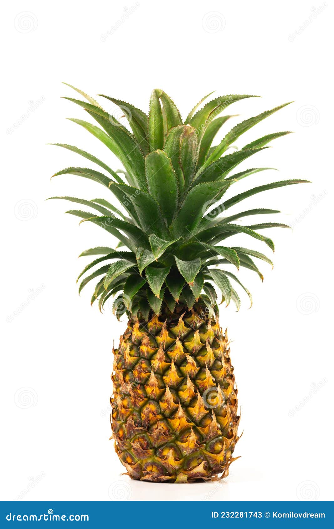 Whole Pineapple Upside Down Cake RoyaltyFree Stock Photo