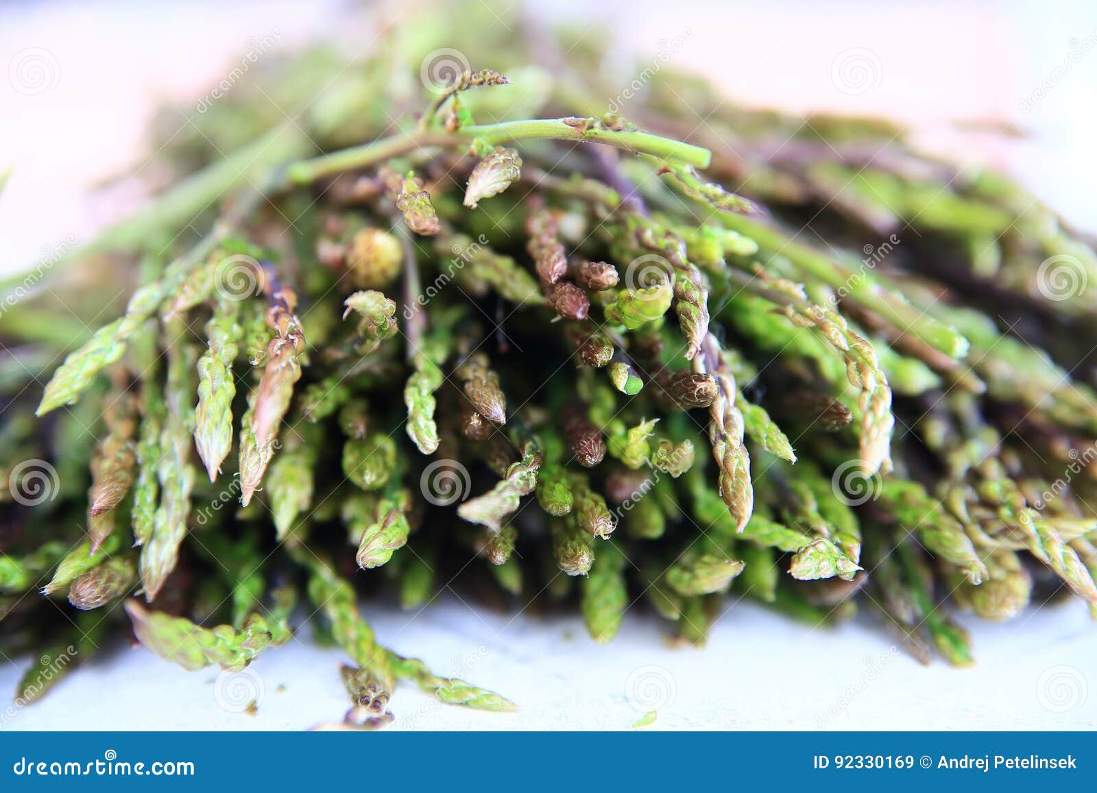 Fresh Wild Asparagus for Background Stock Image - Image of shoots