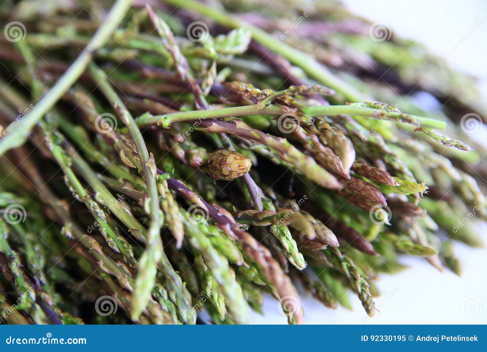 Fresh Wild Asparagus for Background Stock Image - Image of detailed