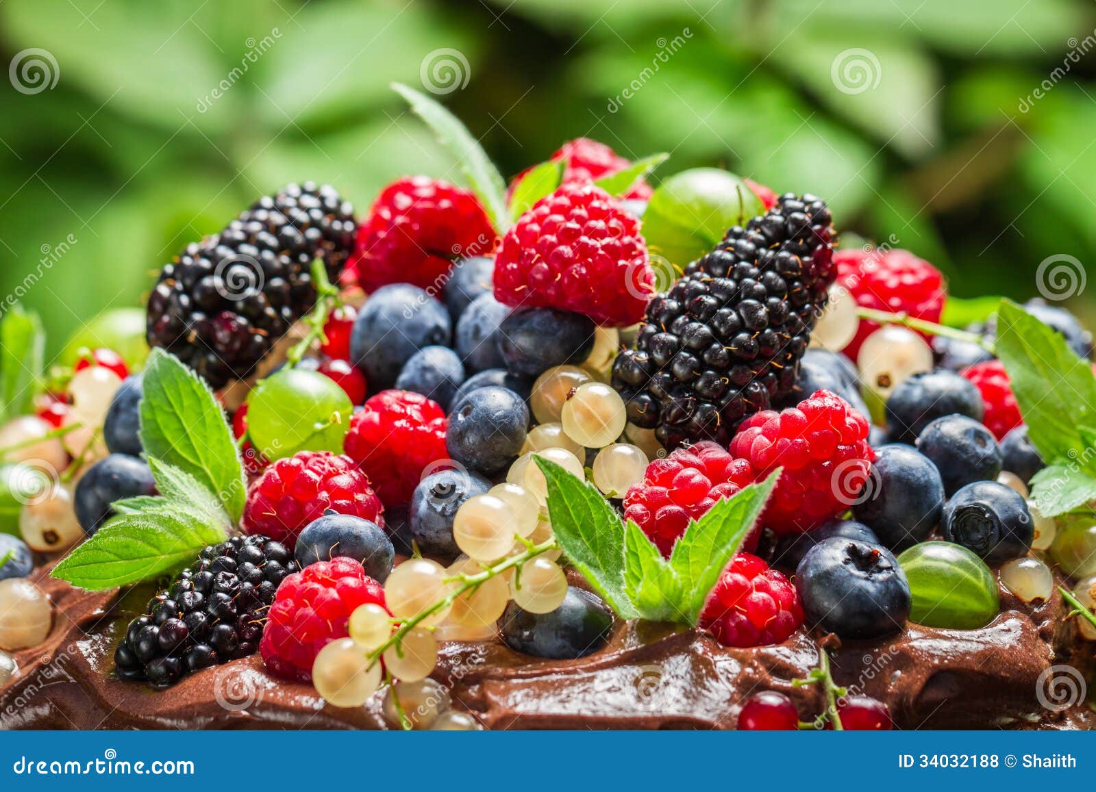Fresh wild berry fruits stock photo. Image of countryside 34032188