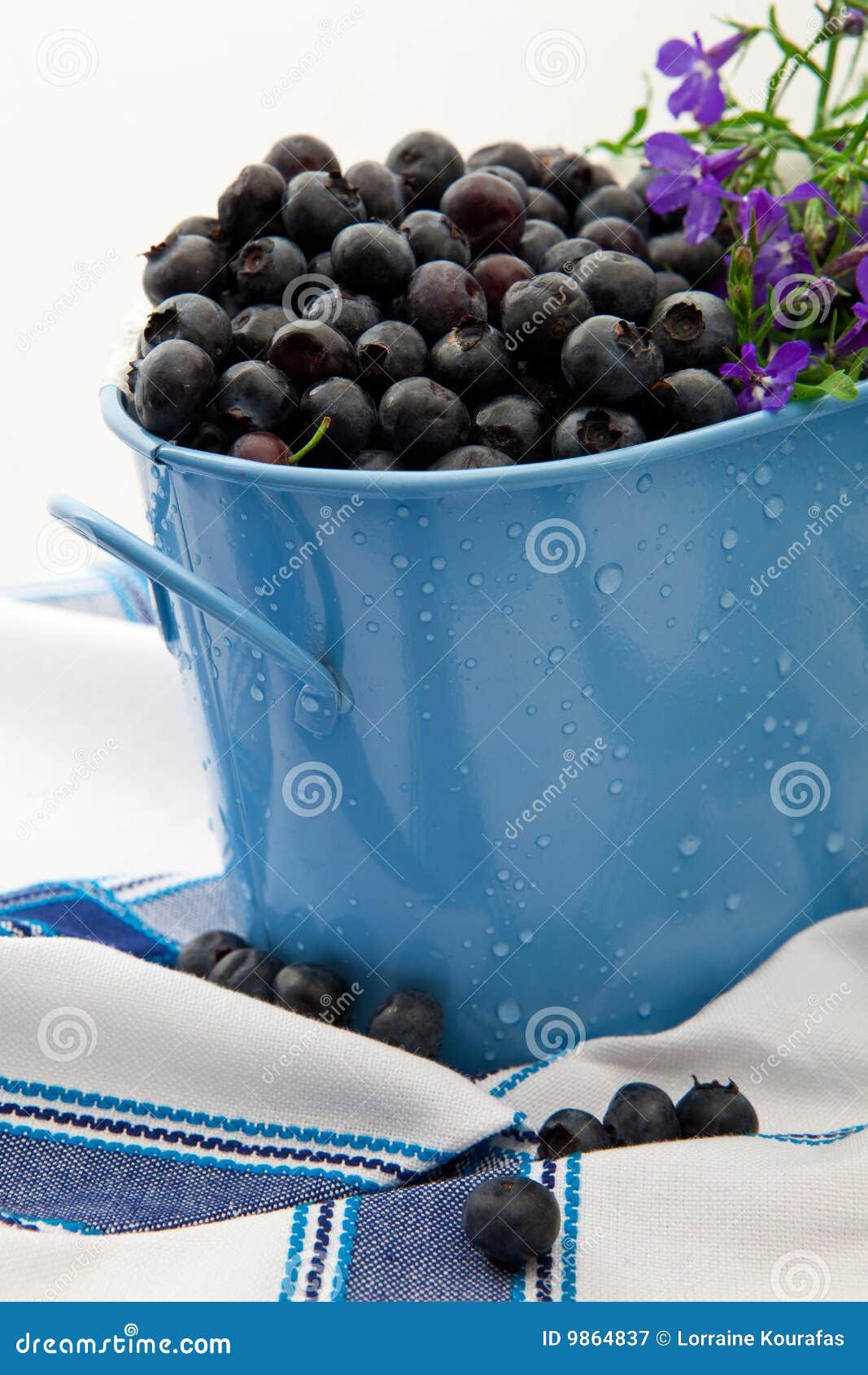 Fresh Wild Blueberries stock image. Image of napkin, snack 9864837