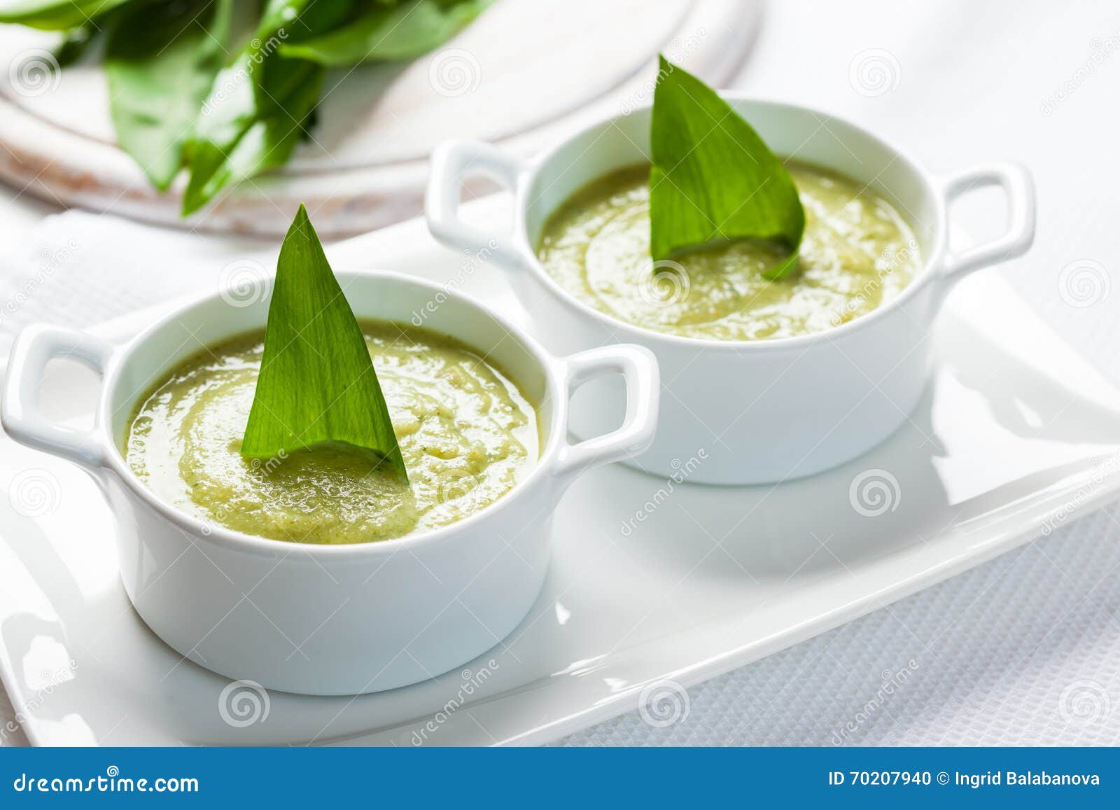 Fresh wild garlic leaves stock photo. Image of garlic 70207940