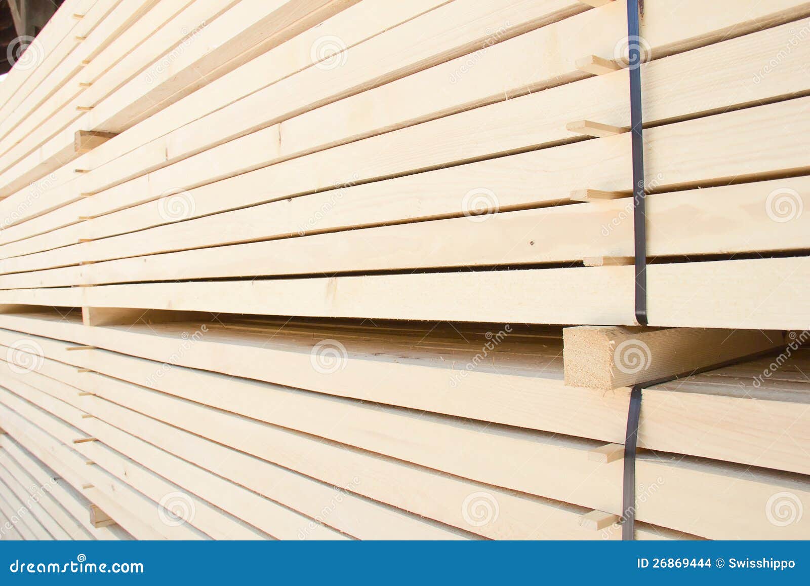 Fresh wooden studs stock photo. Image of carpentry, forestry 26869444