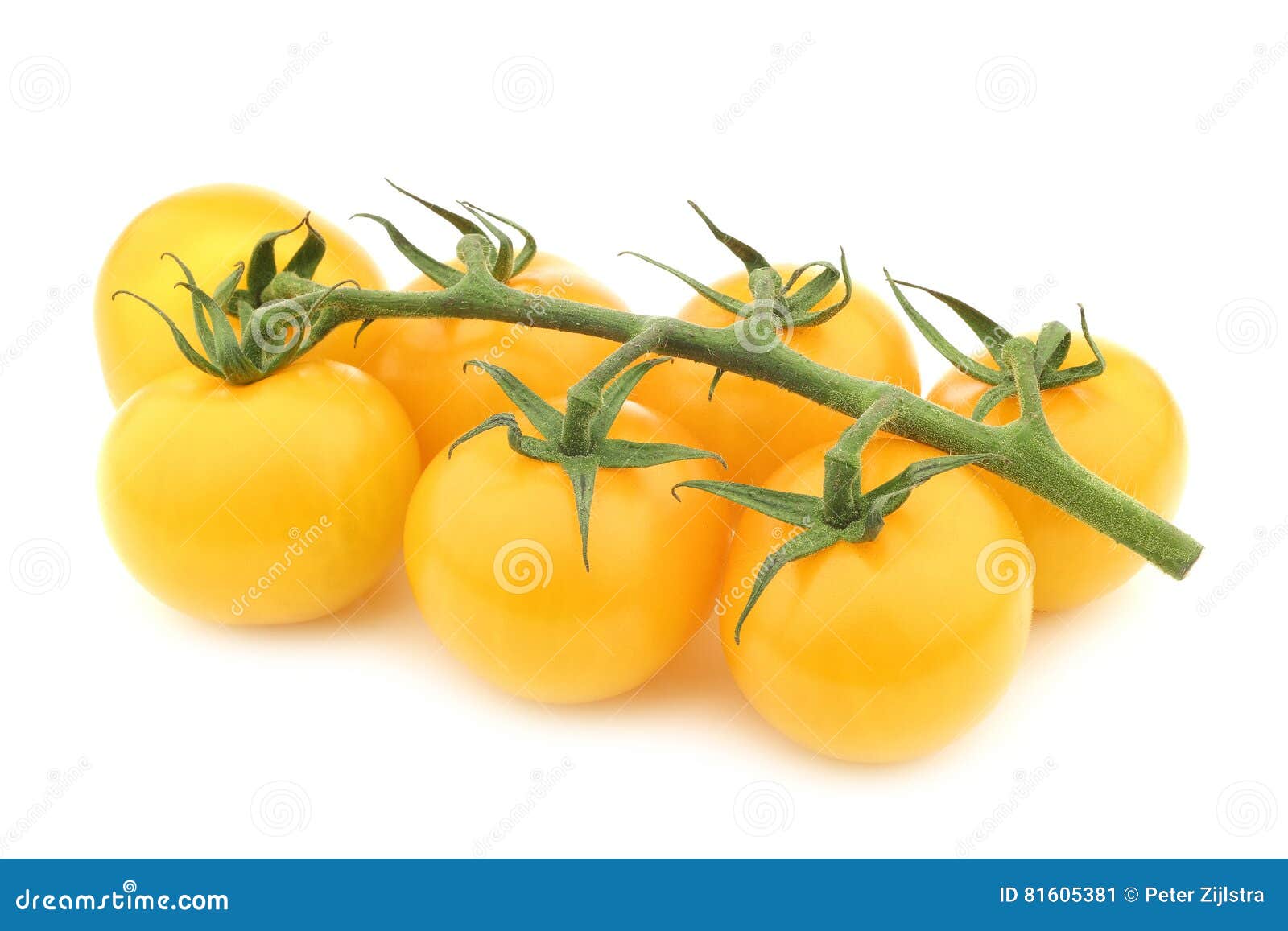 Fresh Yellow `tasty Tom` Tomatoes on the Vine Stock Image Image of