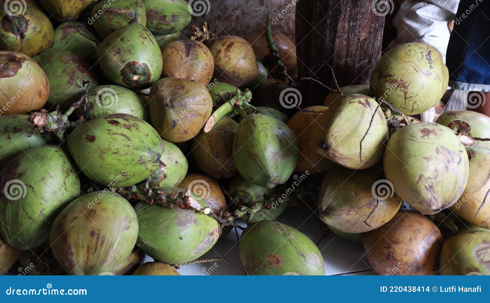 fresh young coconuts, fresh green coconut, piles of green coconut