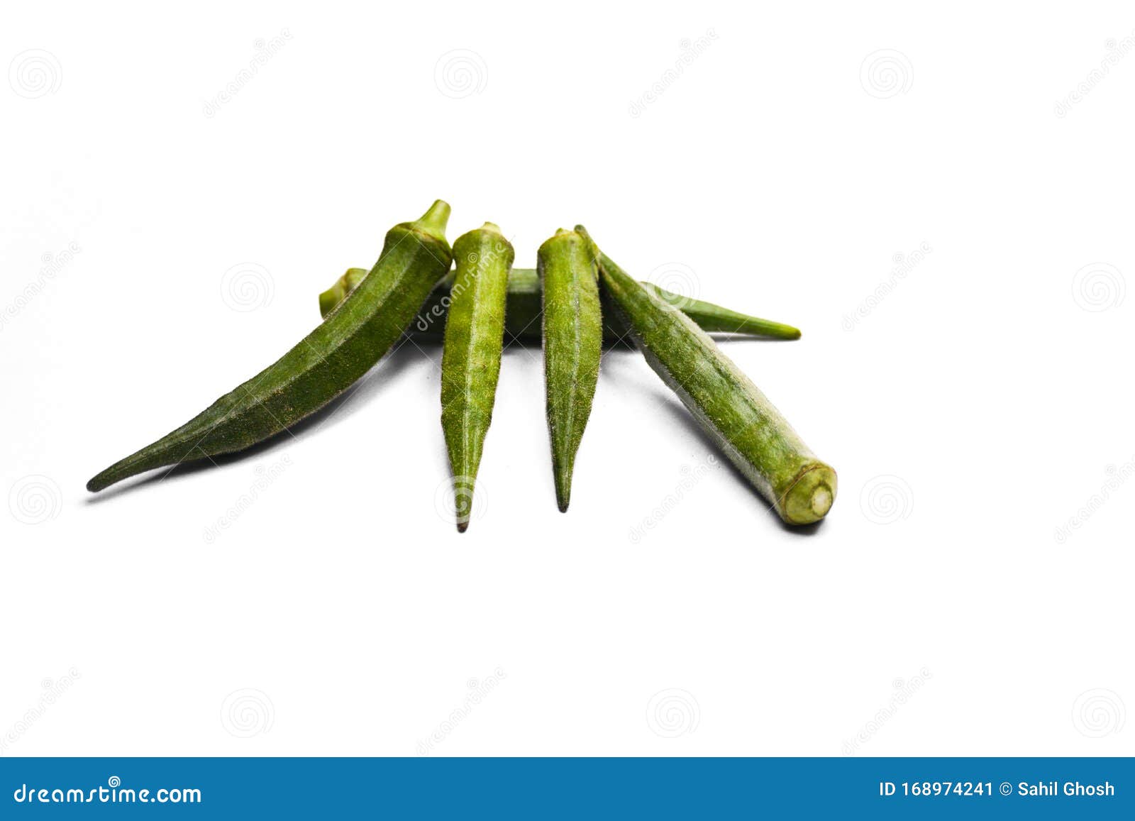Ladyfinger. stock image. Image of green, sticky, detail 168974241