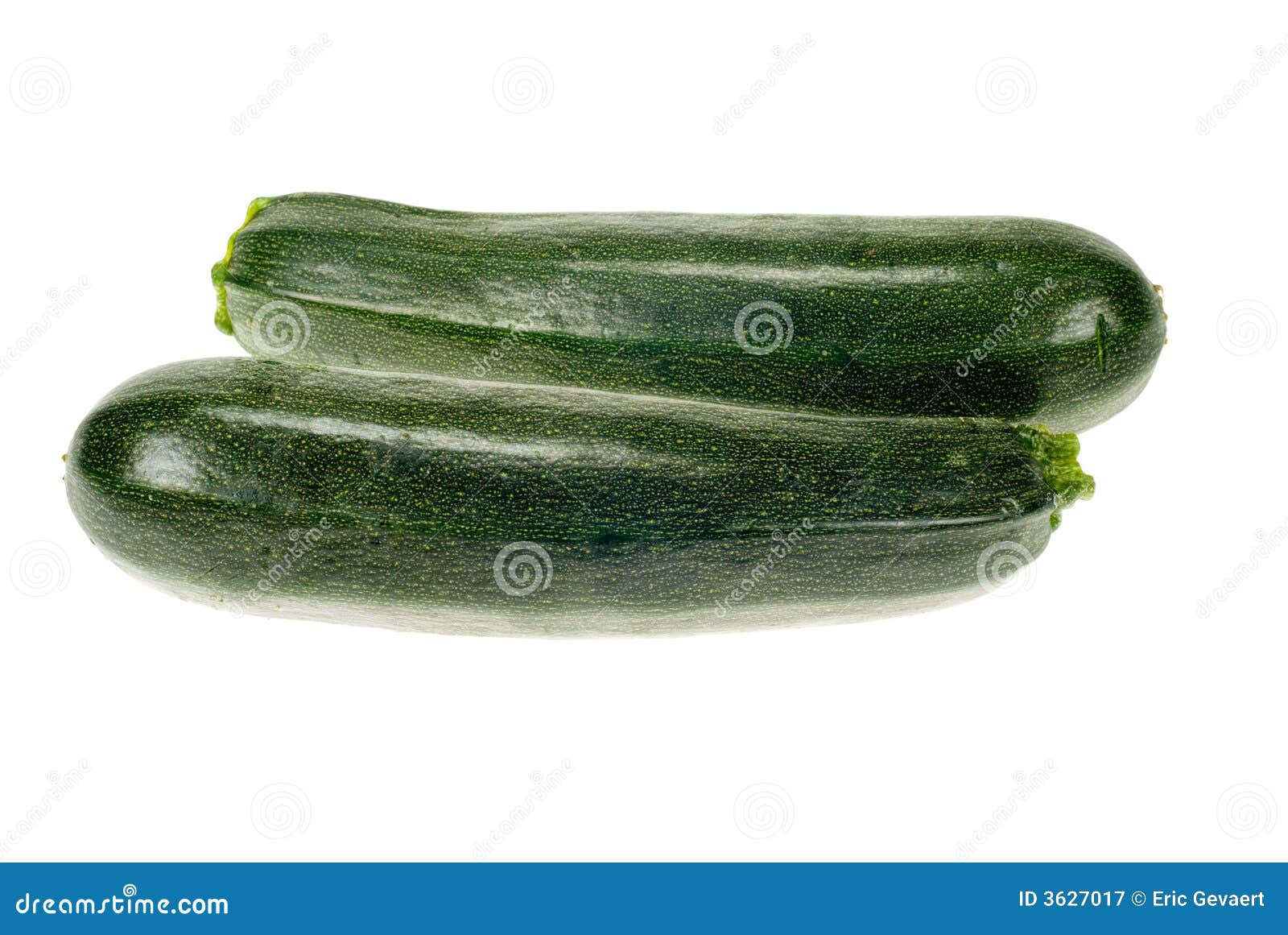 Fresh zucchini stock image. Image of italian, chef, ripe 3627017