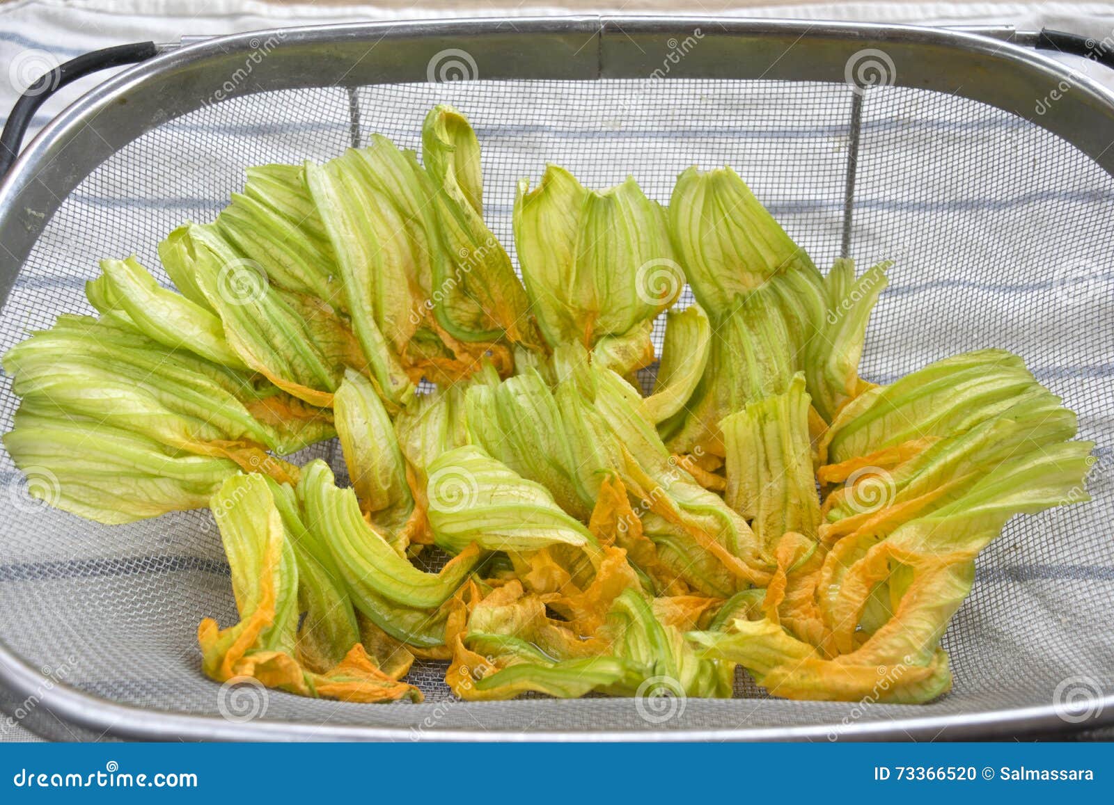 Fresh zucchini flowers stock photo. Image of diet, fresh 73366520