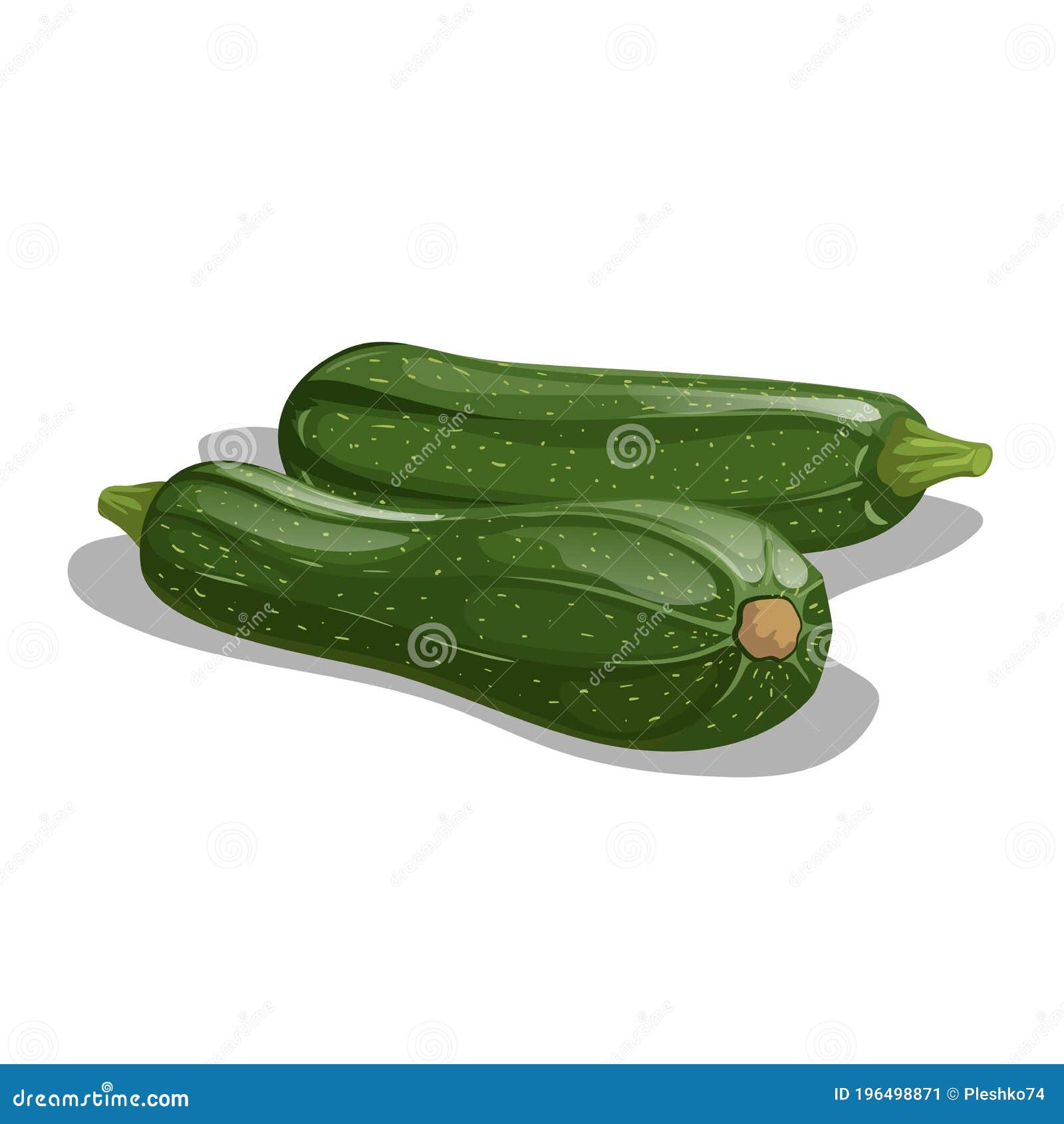 Fresh Zucchini Group in Cartoon Style. Vector Illustration of Farm Fresh  Vegetable Stock Vector - Illustration of isolated, farm: 196498871