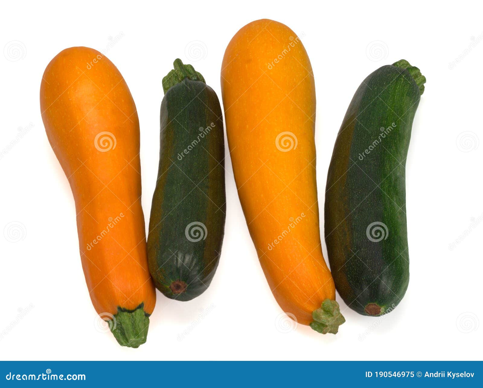 Fresh zucchini in closeup stock image. Image of vitamin 190546975