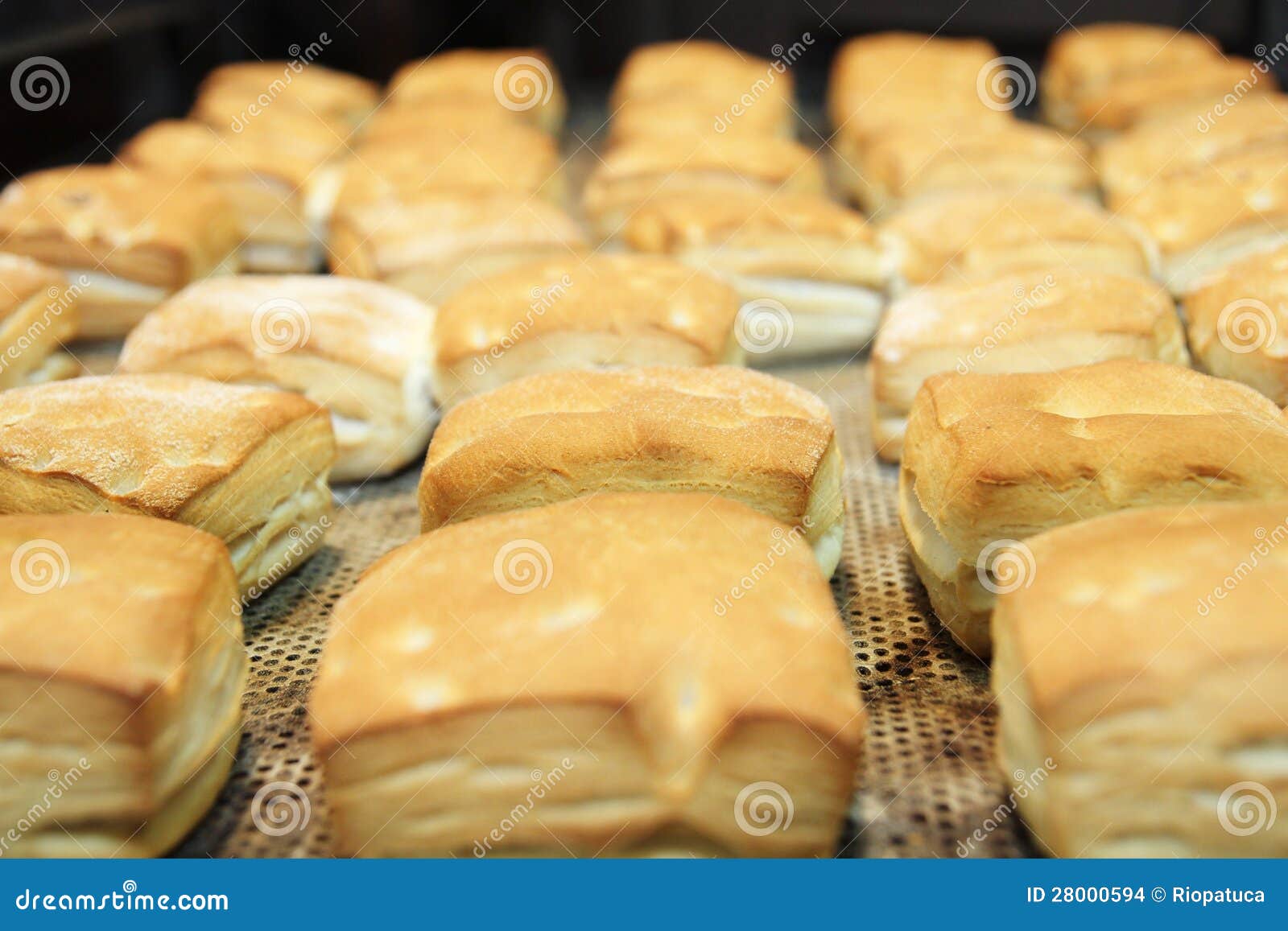Freshly Baked Buns on a Baking Tray in a Bakery Stock Photo Image of closeup, breakfast 28000594