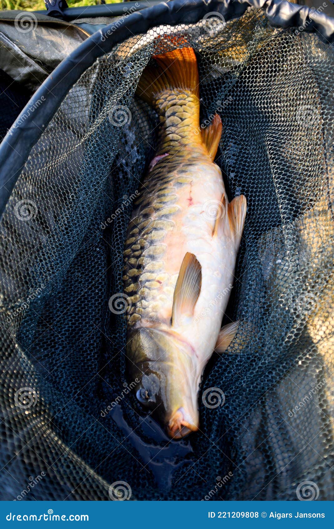 146 Fishing Cradle Stock Photos - Free & Royalty-Free Stock Photos from  Dreamstime