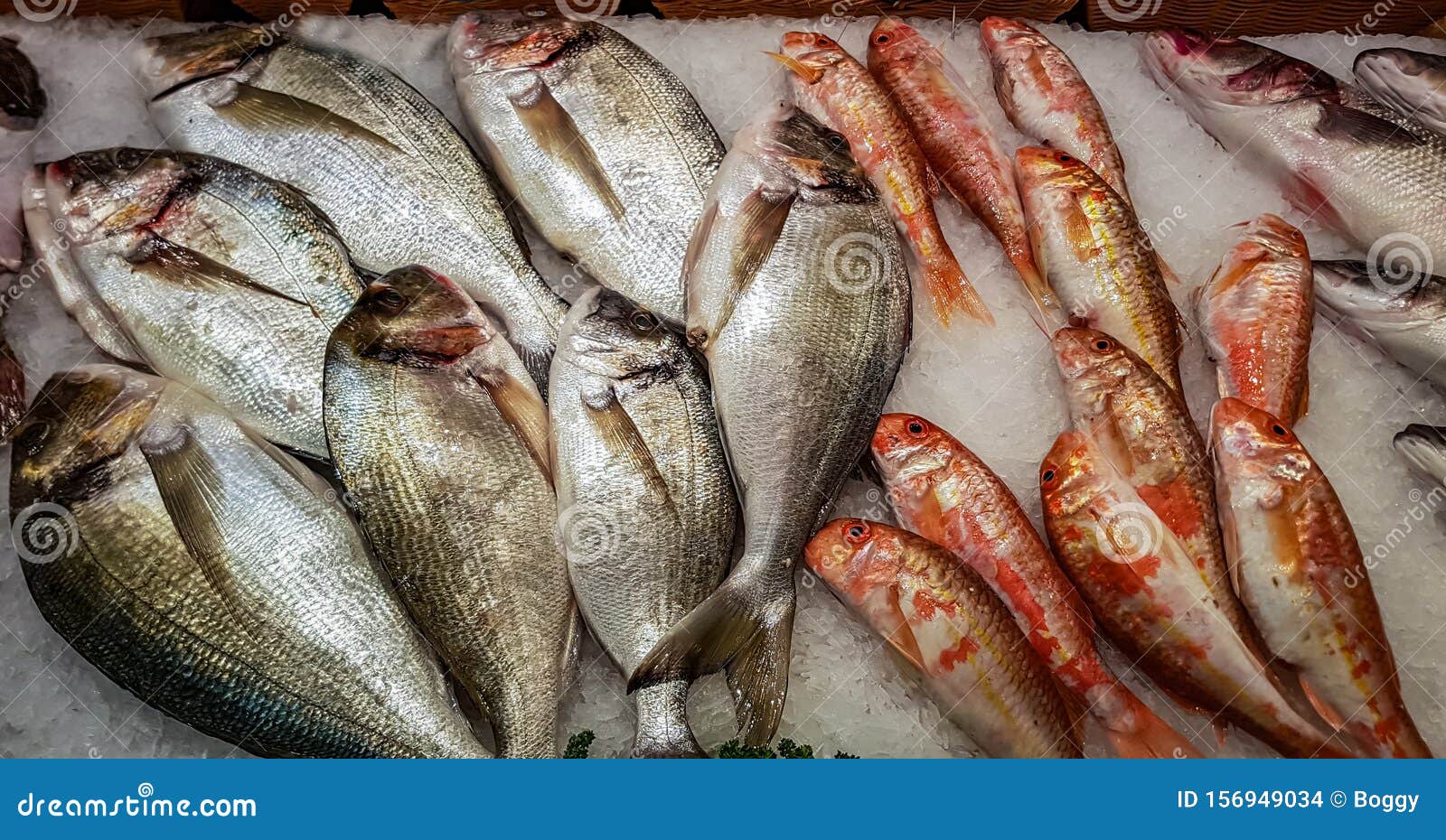 freshly caught gilt-head breams and striped red mullets on ice for sale at fish market