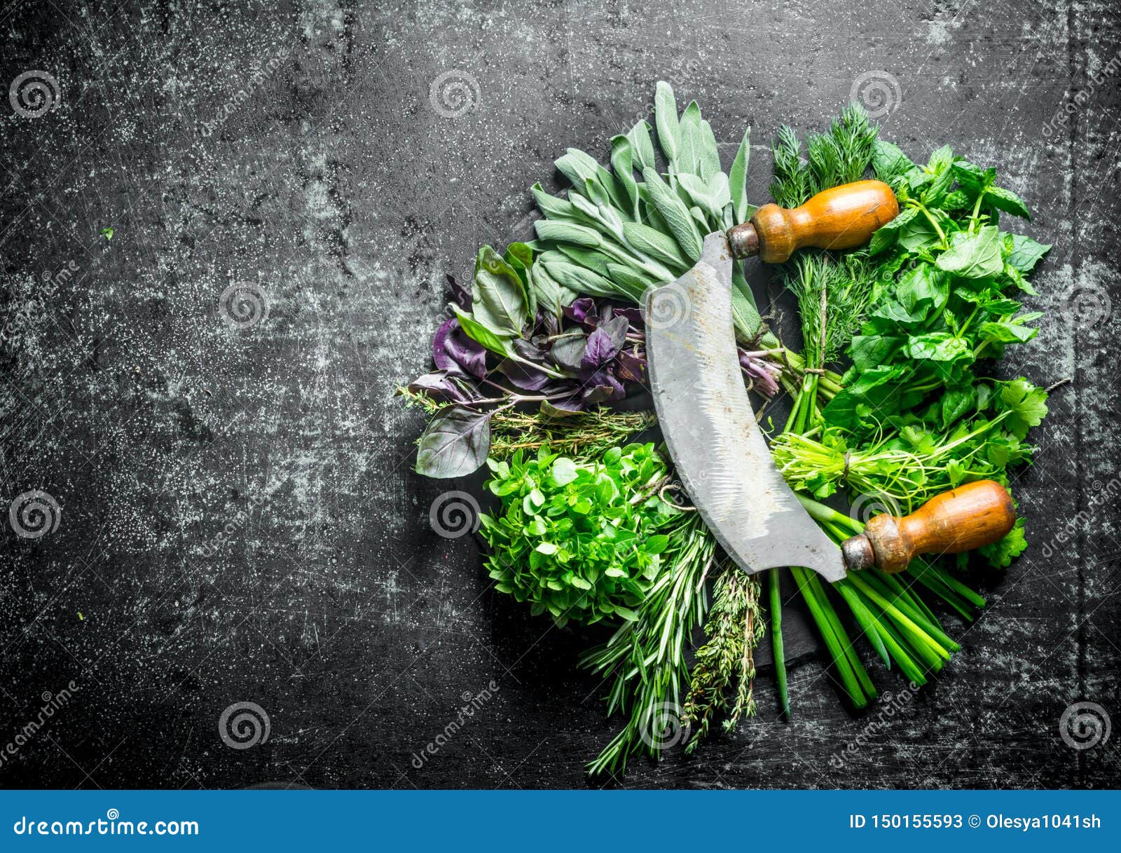 Freshly Cut Herbs For The Salad Stock Image Image of food, cooking 150155593
