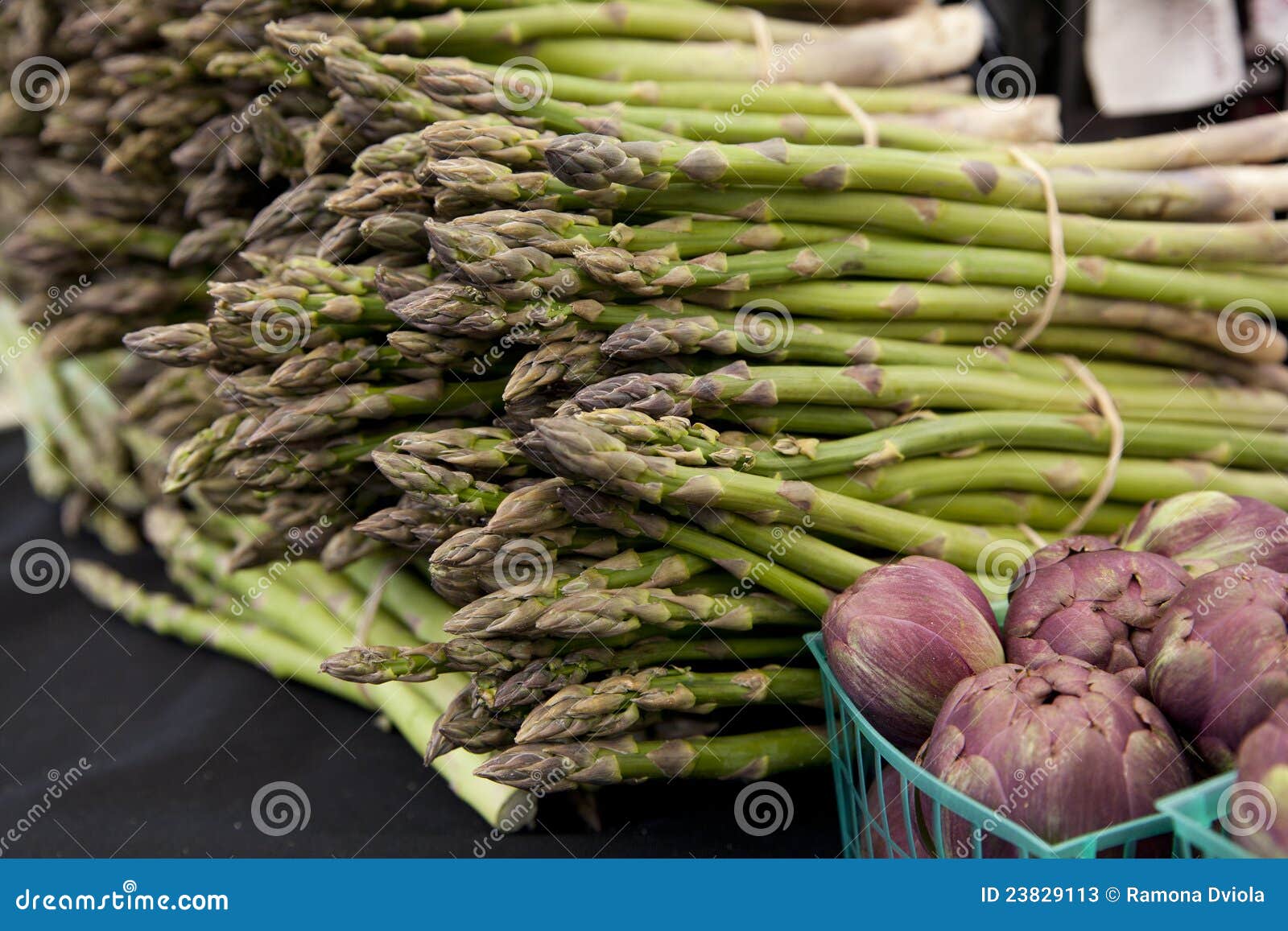 Freshly Harvested Asparagus Spears Stock Image Image of farm, freshly 23829113