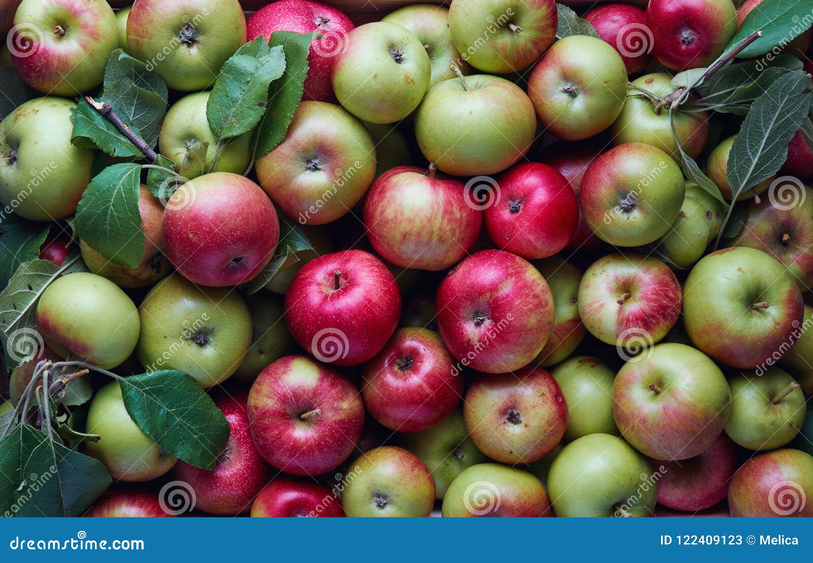 lots of apples in a crate