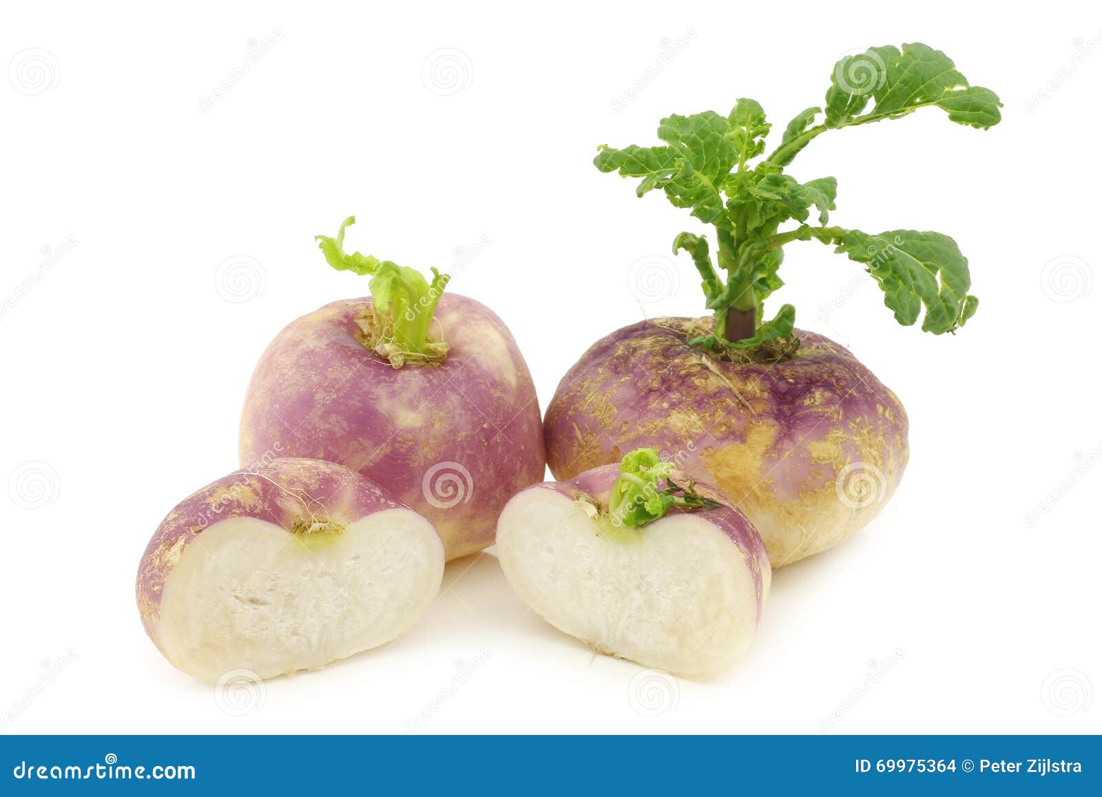 Freshly Harvested Spring Turnips (Brassica Rapa) Stock Photo Image of rapa, healthy 69975364