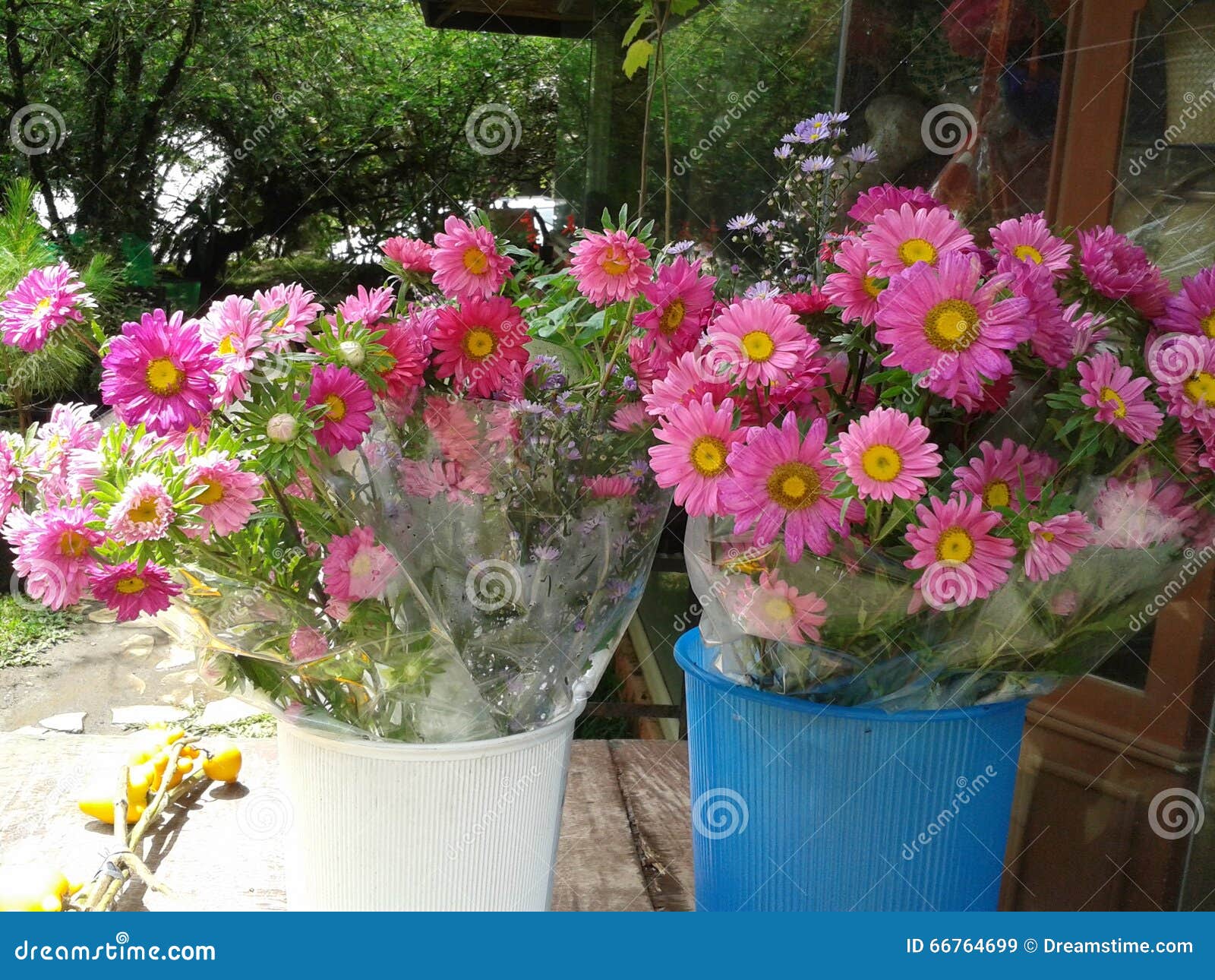 Freshly Pick Wild Flowers Pink Stock Image Image of pick, wild 66764699