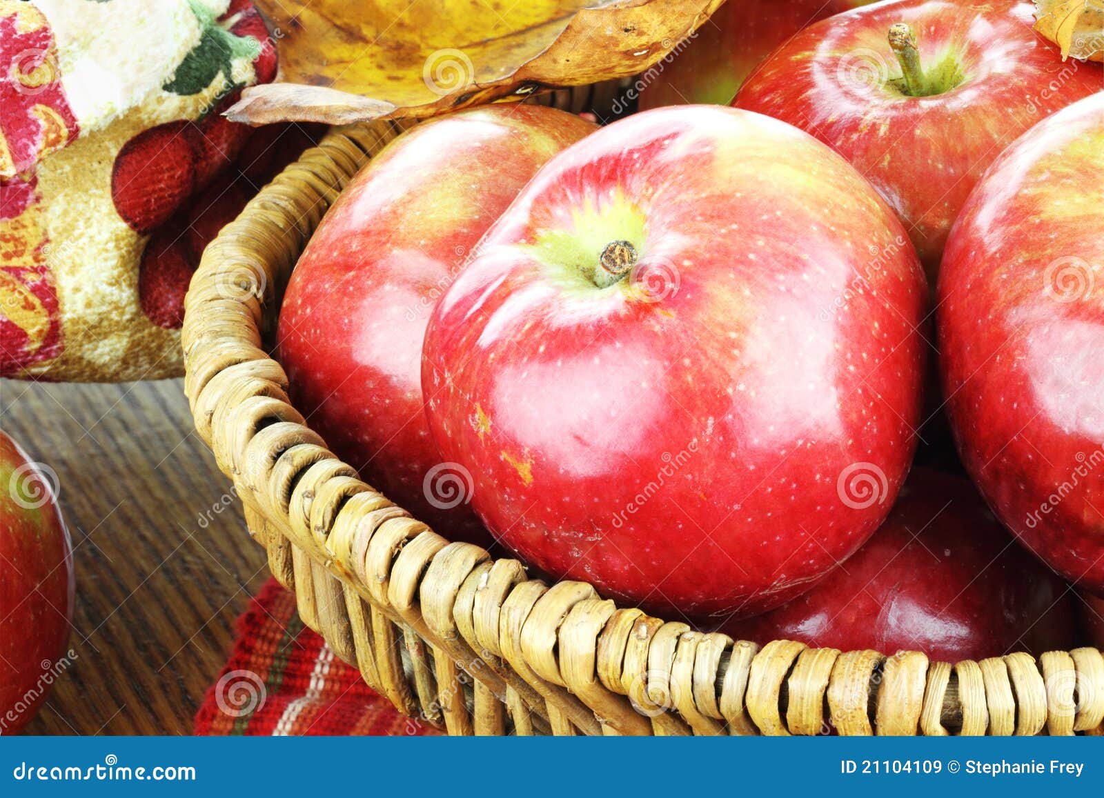 Freshly Picked Apples stock image. Image of studio, horizontal 21104109