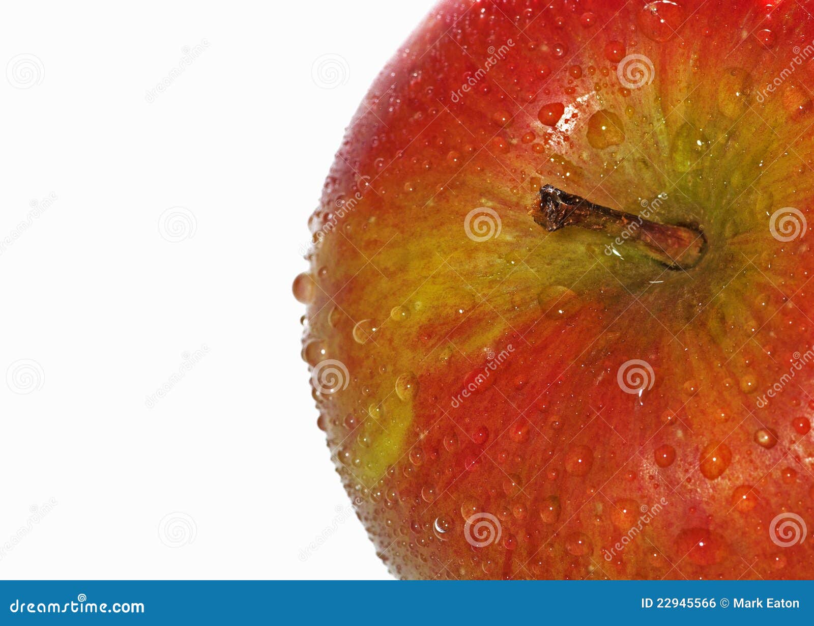 Freshly Picked British Apple Stock Photo Image of agriculture, cidre