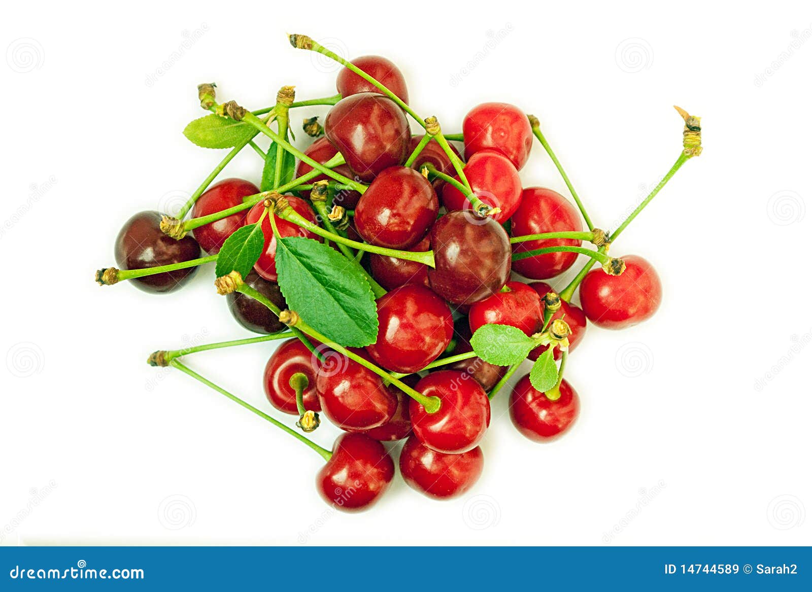 Freshly picked cherries stock image. Image of health 14744589