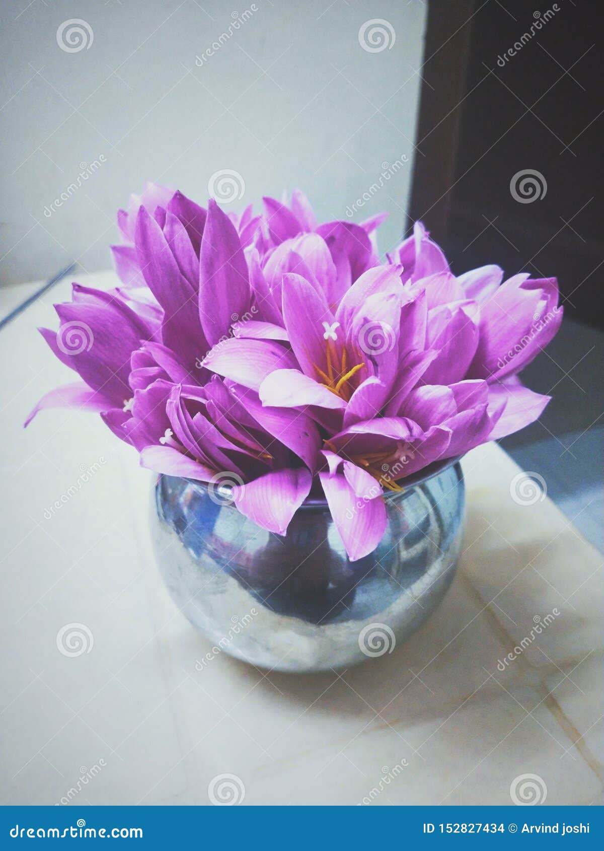 Freshly Picked Flowers from Garden Kept Inside the Jug at Home Stock