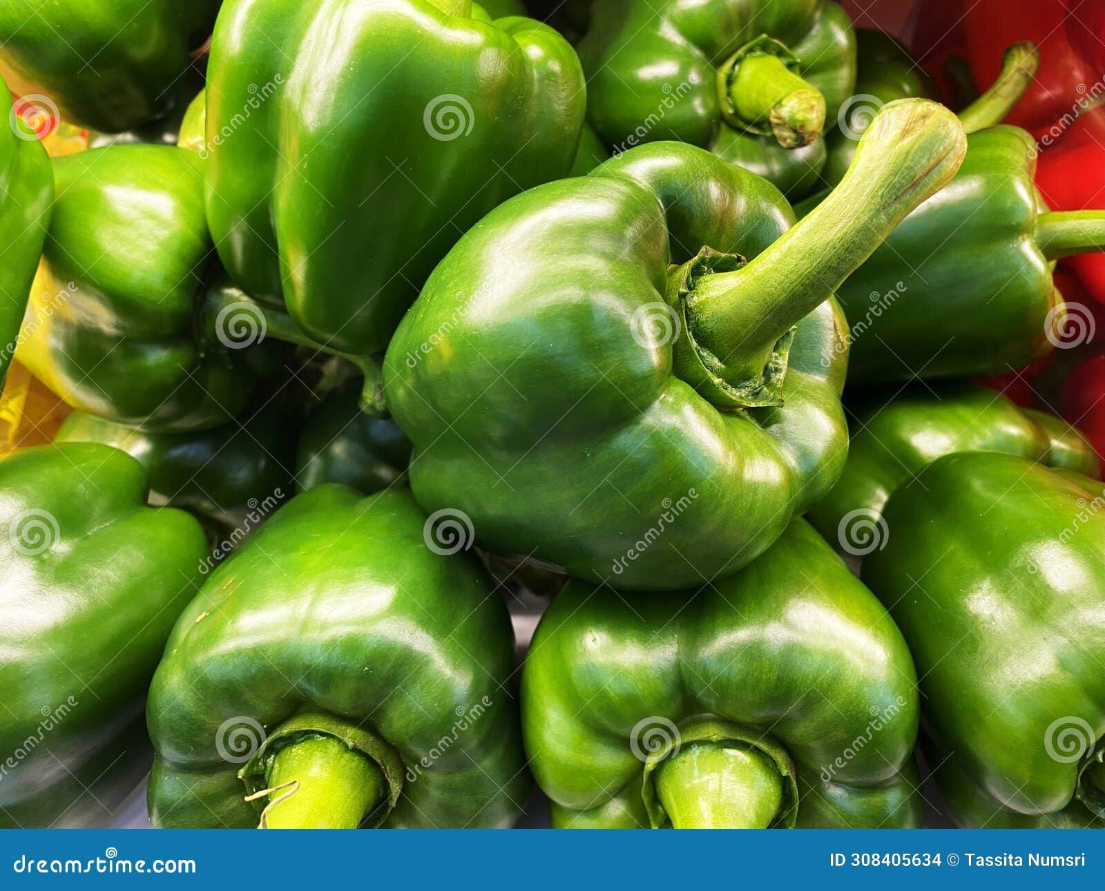 freshly picked green bell peppers on display at the market