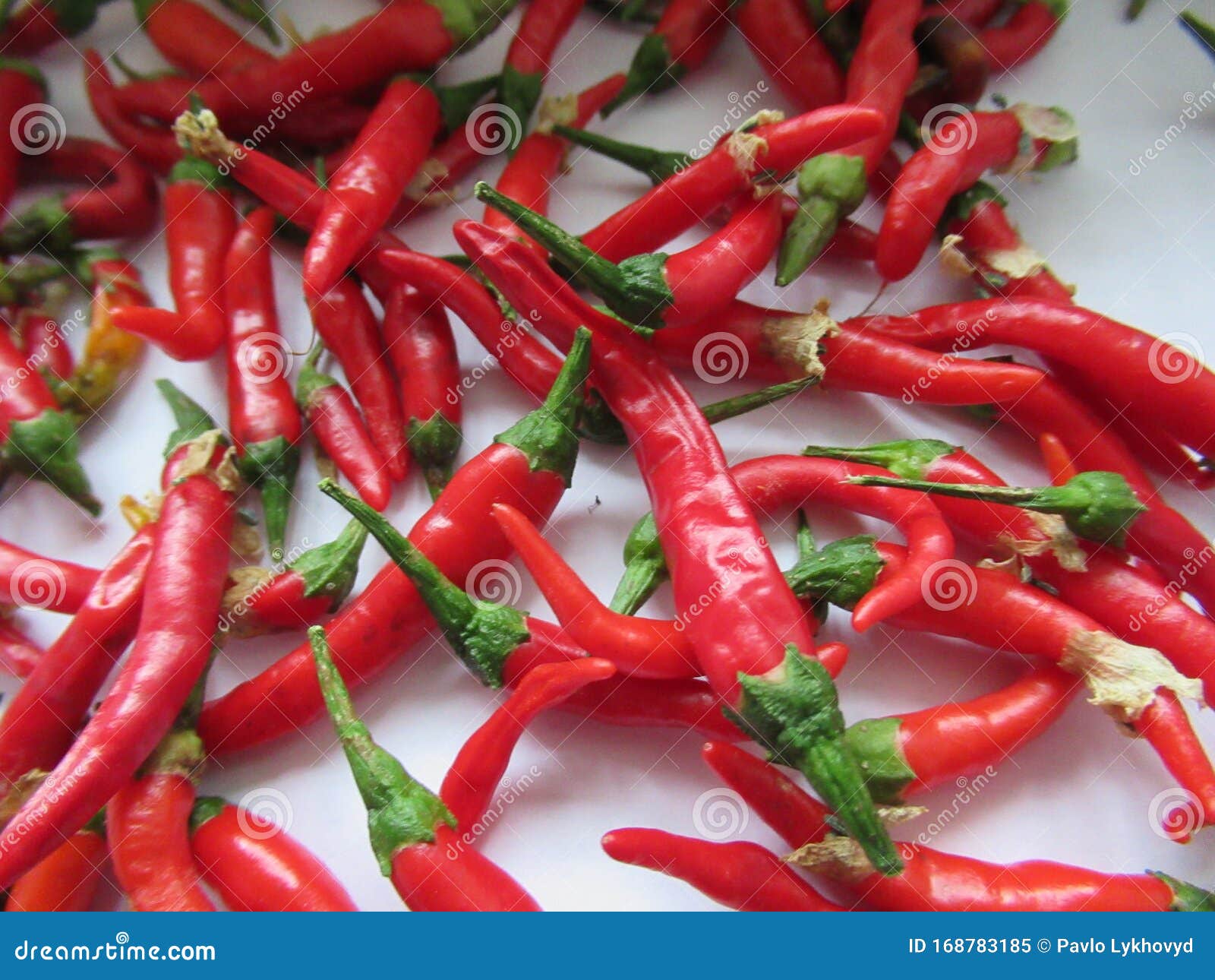 Red Hot Chili Peppers Wallpapers APK for Android Download