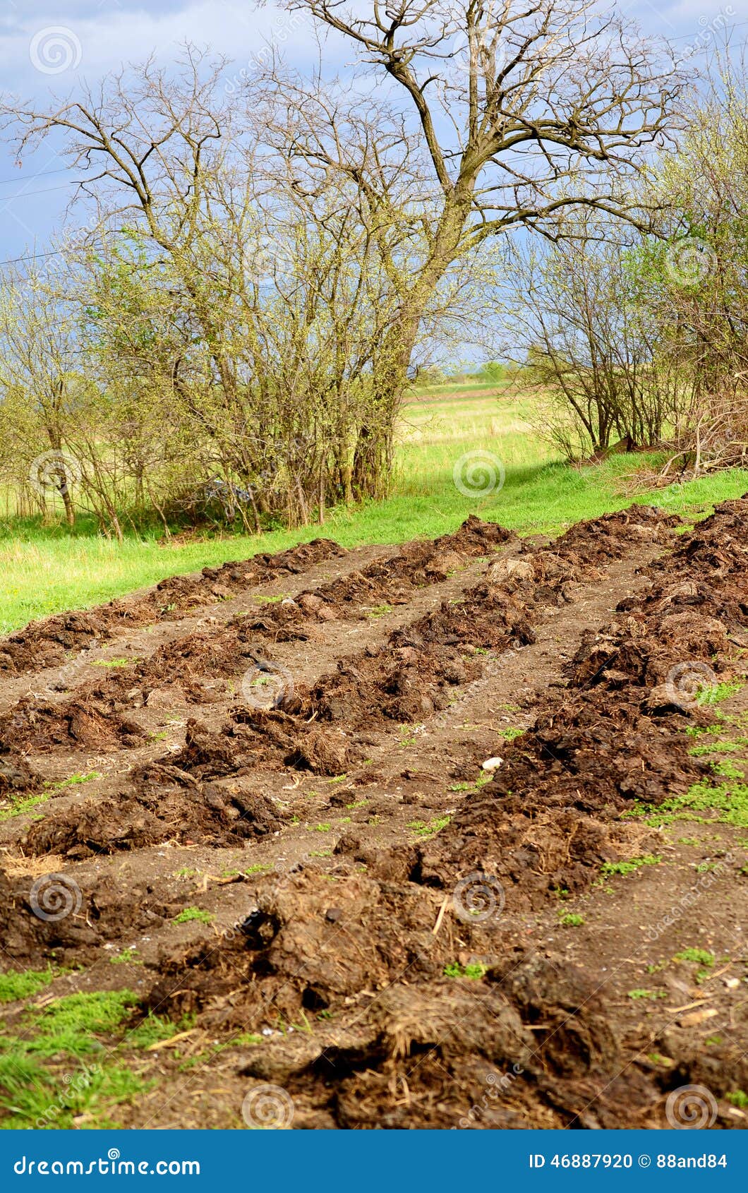 Freshly Planted Potato Field Stock Photo Image of industrial, high