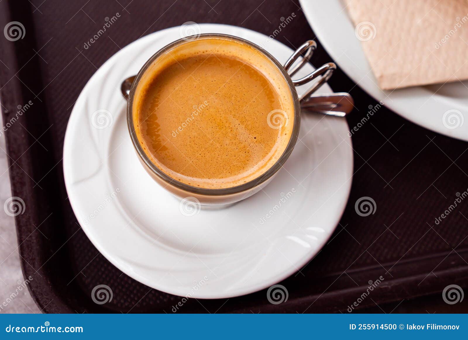 Freshly Prepared Cortado Coffee in Cup Stock Photo Image of drink