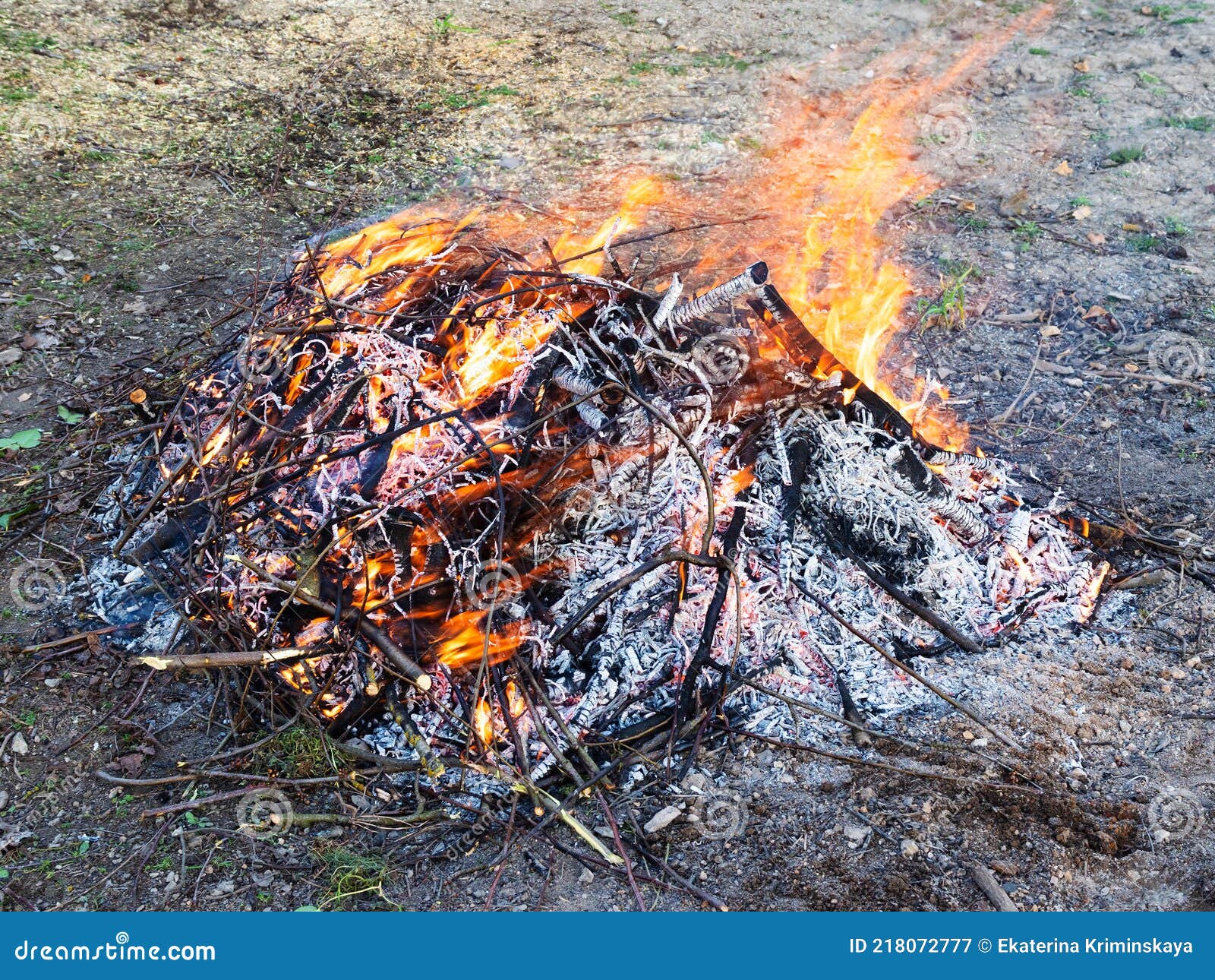 Freshly Pruned Branches are Burning at Garden Stock Image Image of