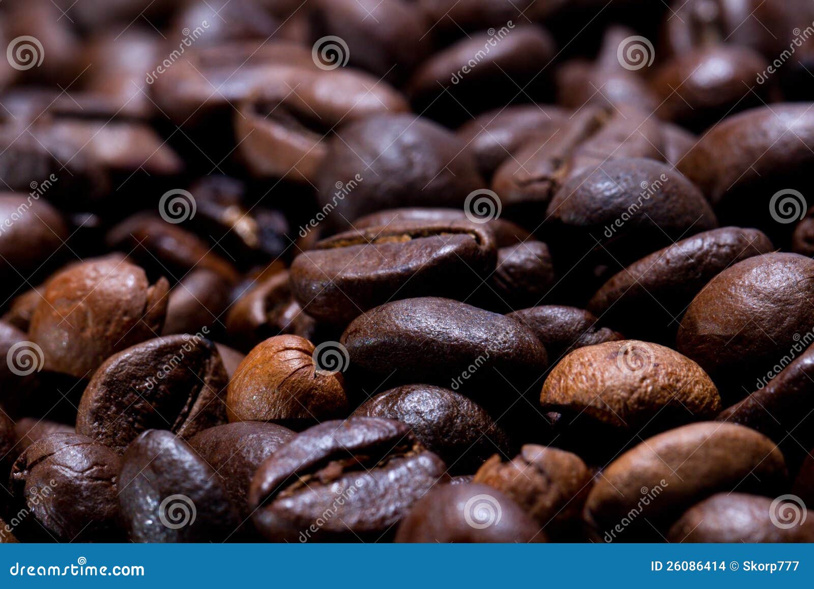 Freshly Roasted Coffee Beans Stock Photo Image of focus, coffee 26086414