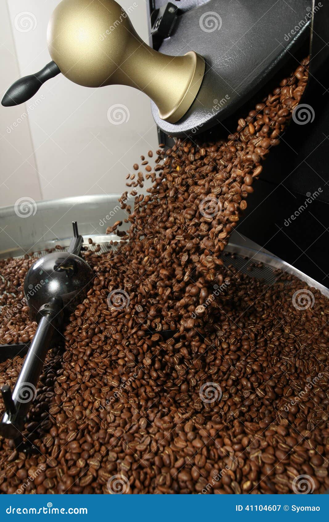 Freshly Roasted Coffee Beans Stock Image Image of control, arms 41104607