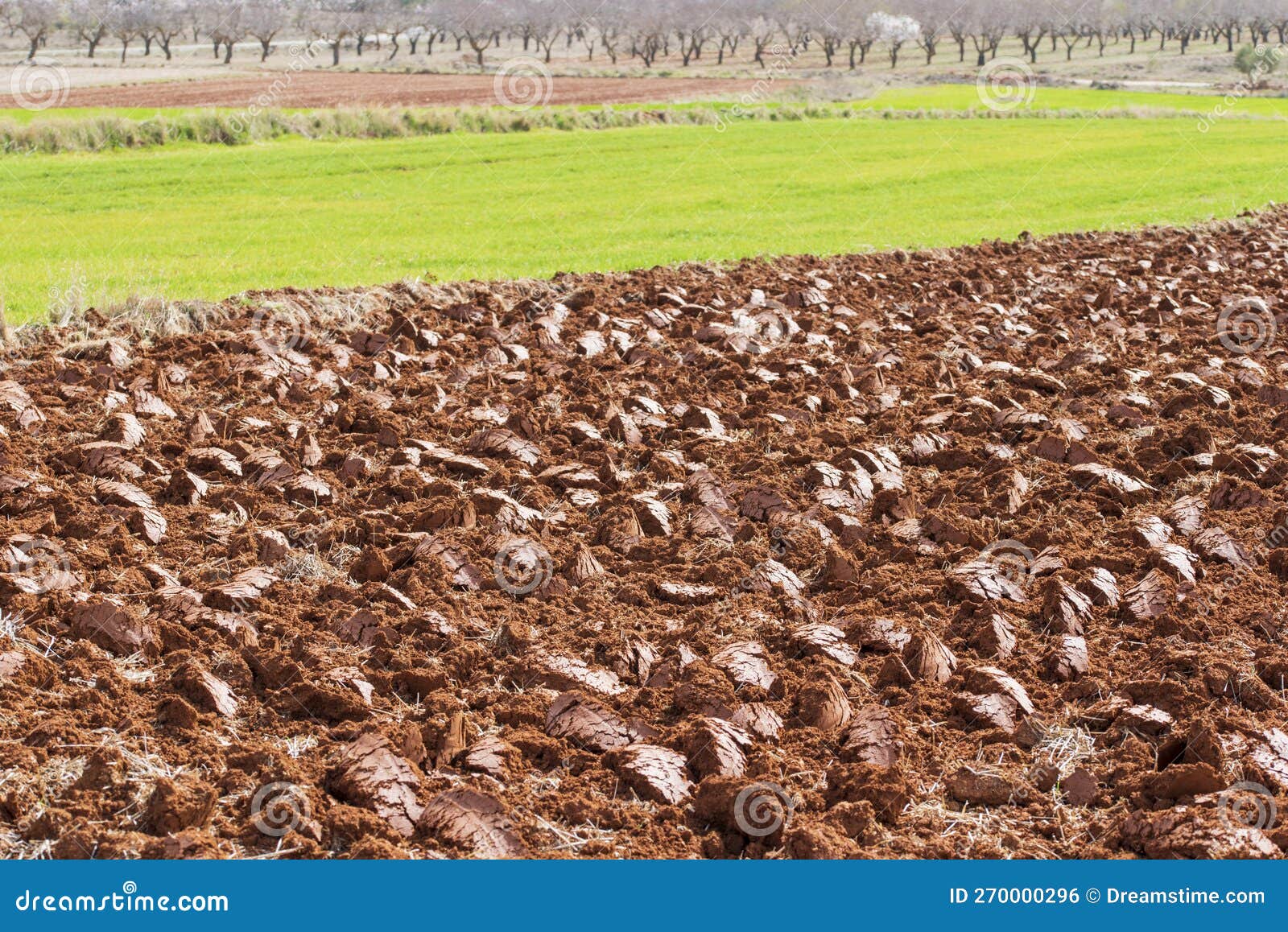 freshly tilled red farmland in the countryside