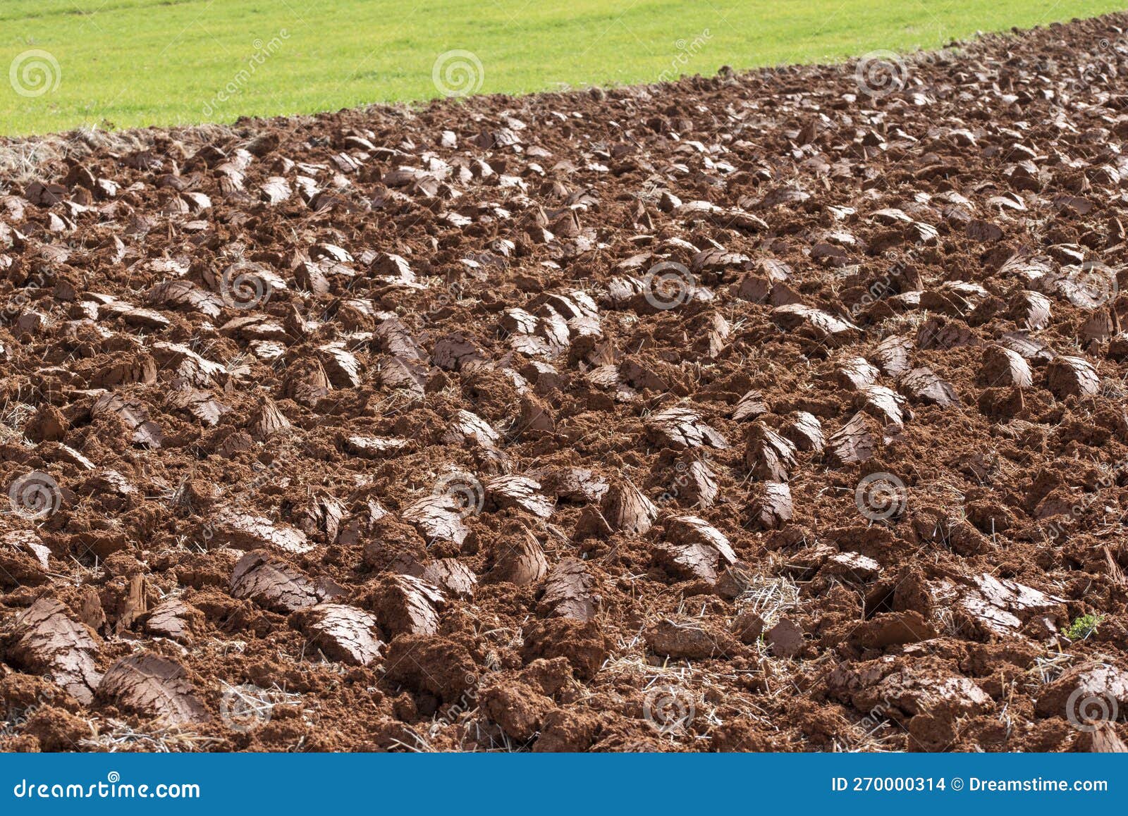 freshly tilled red farmland in the countryside